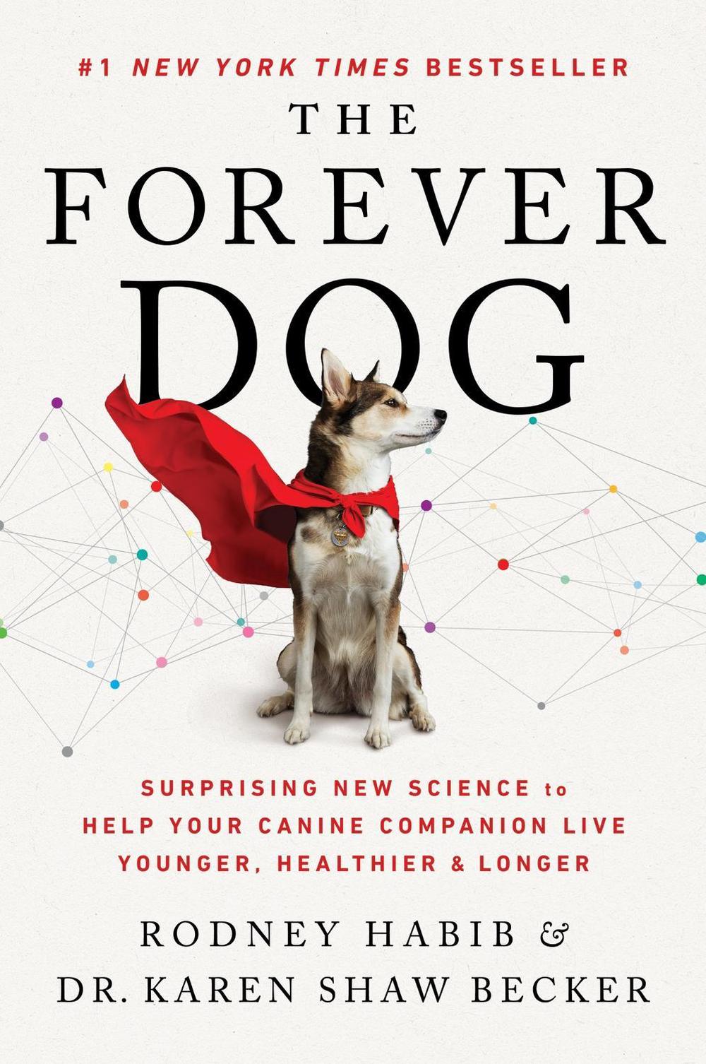 The Forever Dog, 9780063002616