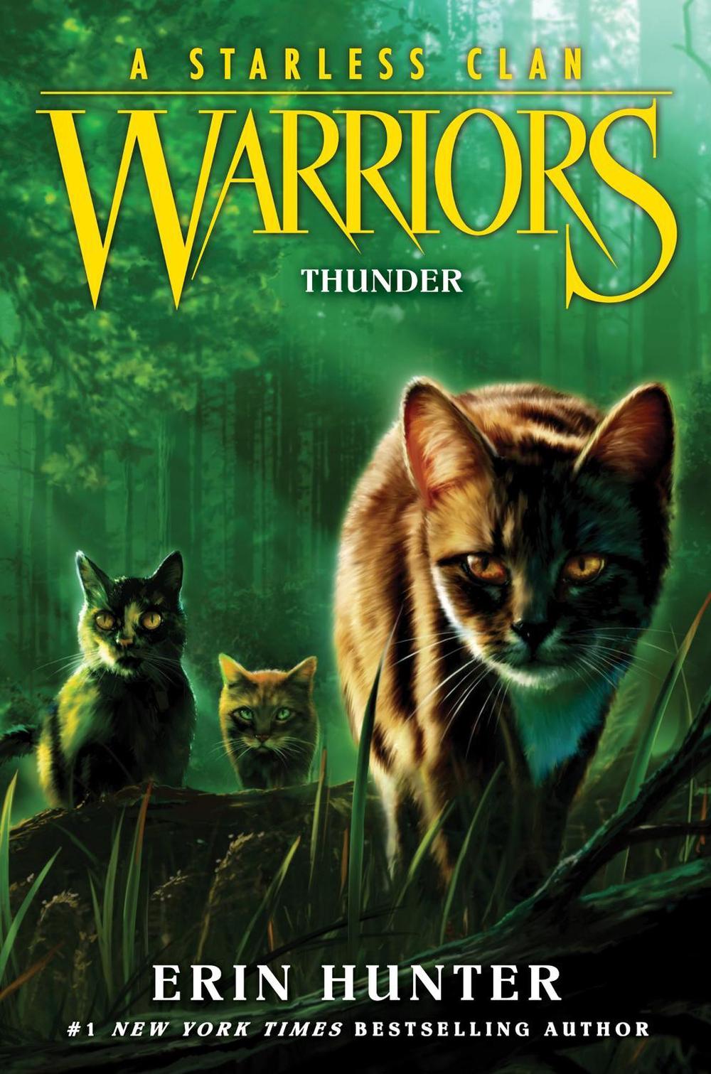 Warriors: A Starless Clan #4: Thunder, 9780063050297