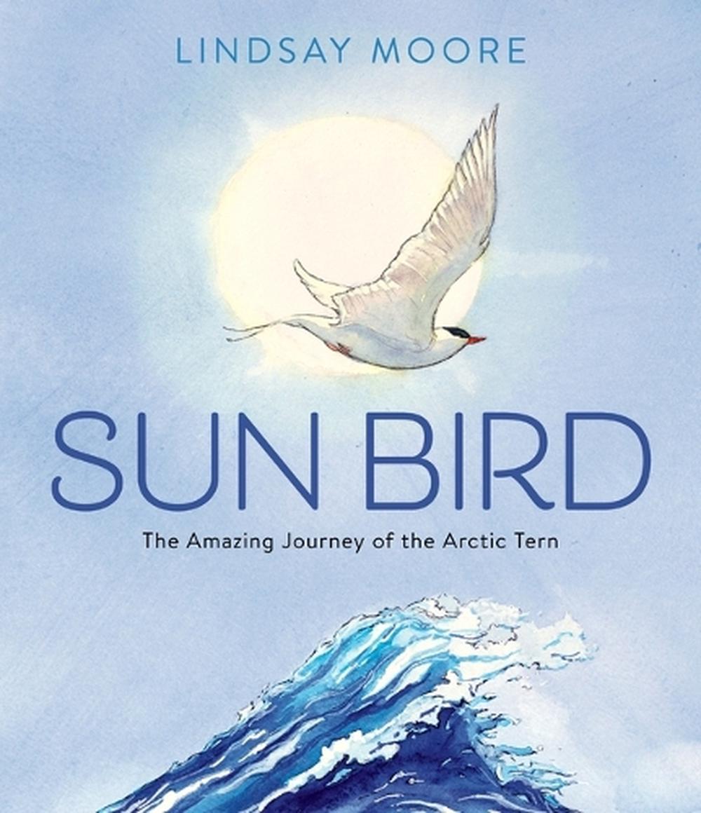 Sun Bird, 9780063061002