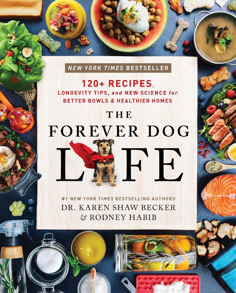 The Forever Dog Life, 9780063314009