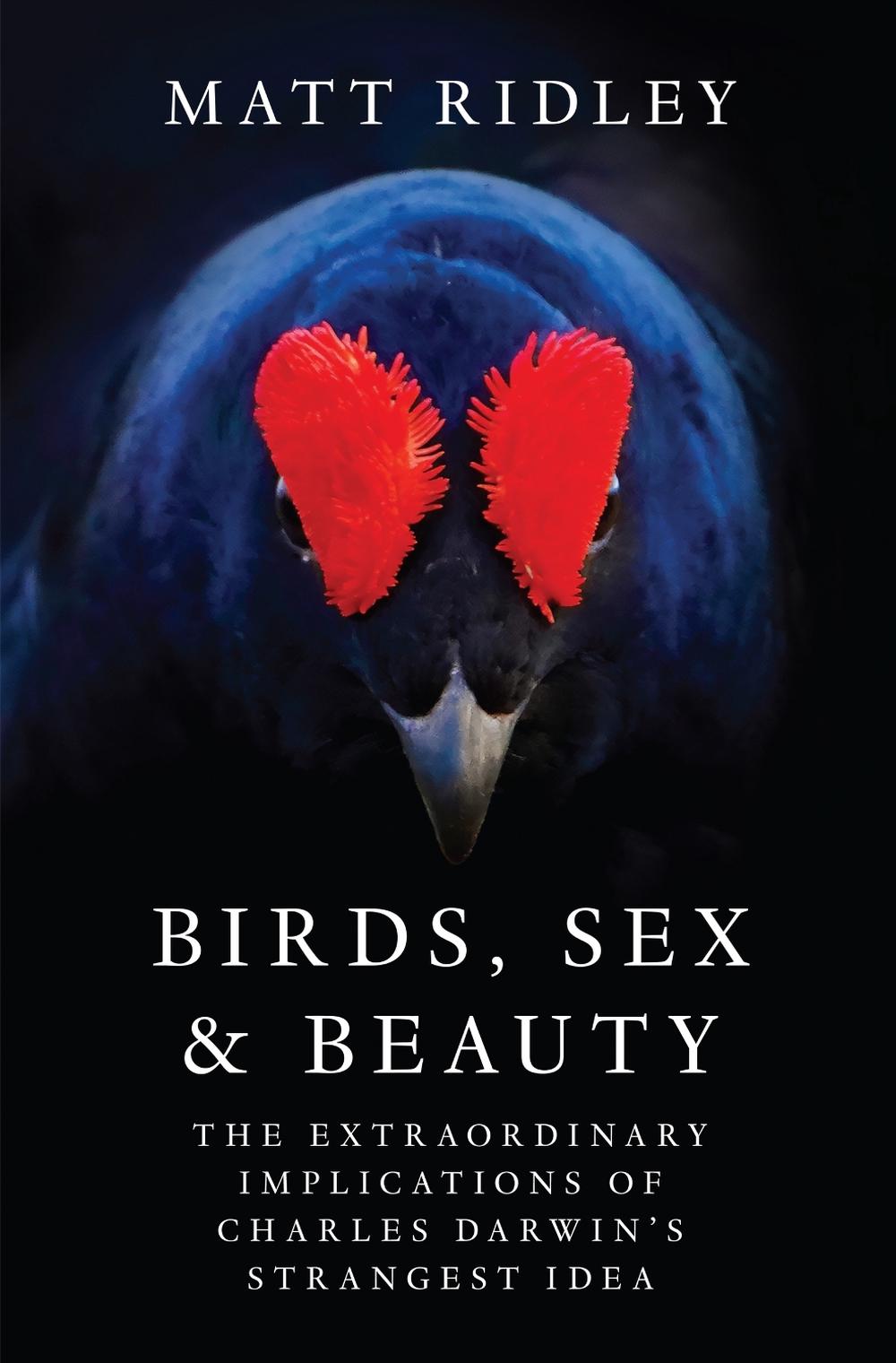 Birds, Sex and Beauty, 9780063342989