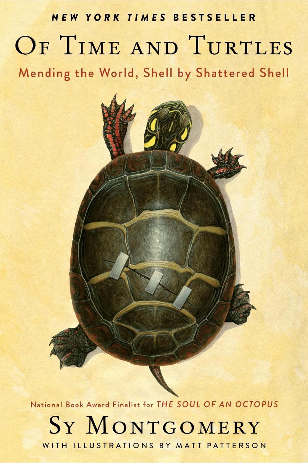 Of Time And Turtles, 9780063394230