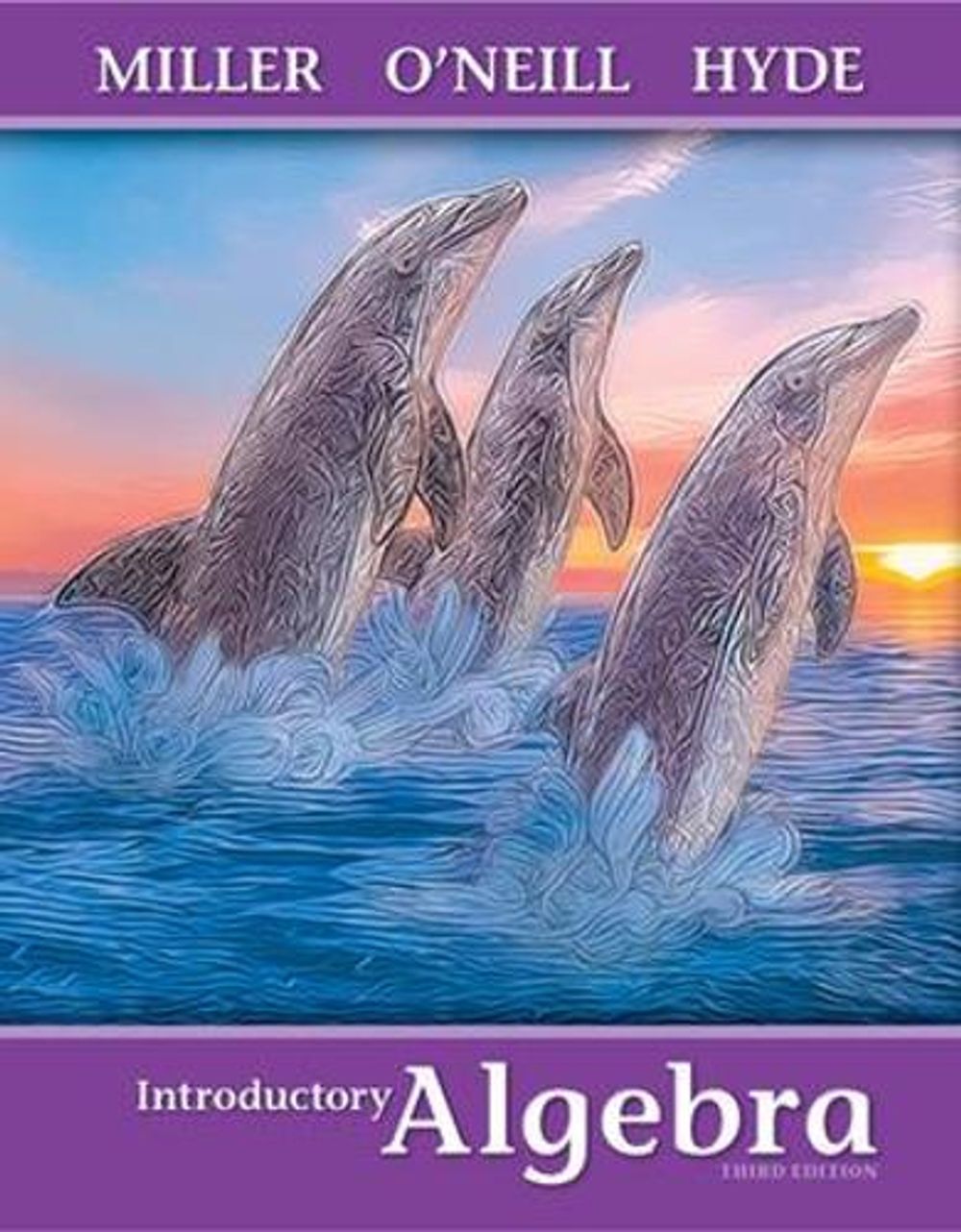 Introductory Algebra, 3rd Edition by Julie Miller, Paperback ...
