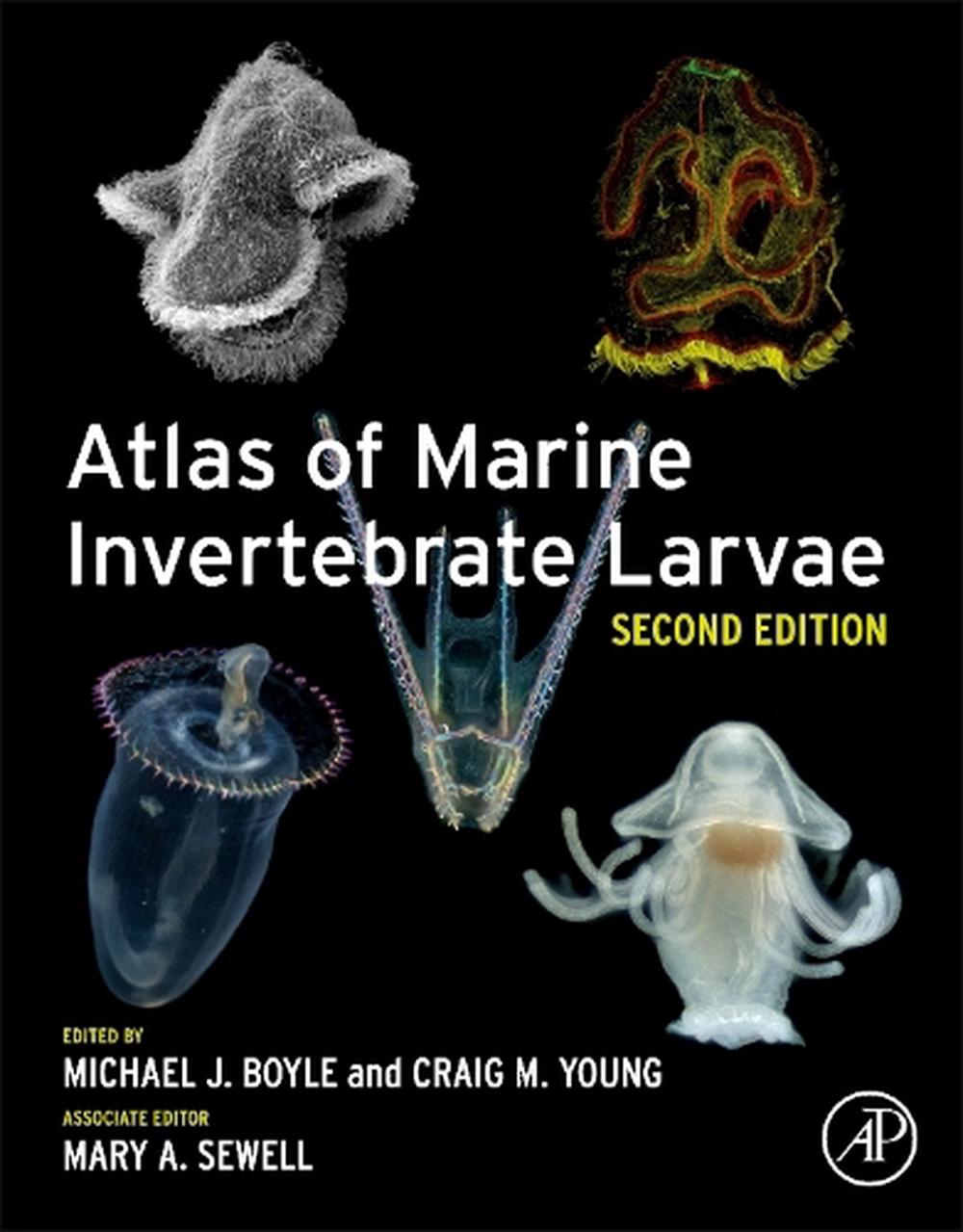Atlas of Marine Invertebrate Larvae, 2nd Edition, 9780081028711