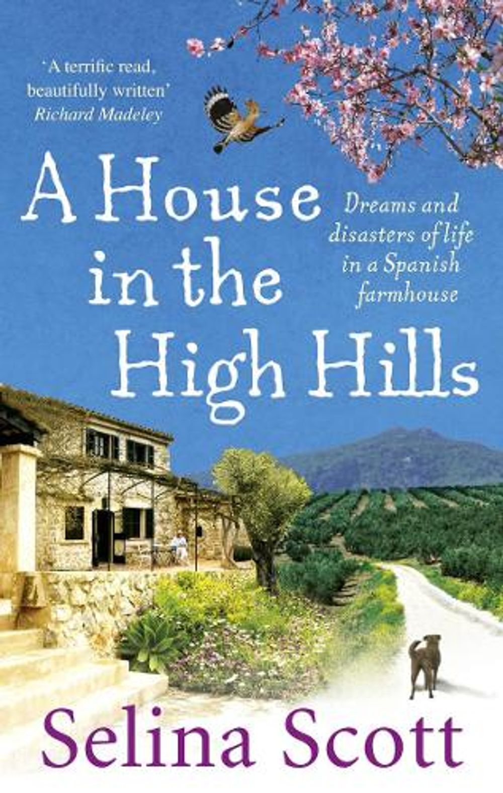 A House in the High Hills by Selina Scott - ISBN: 9780091914479