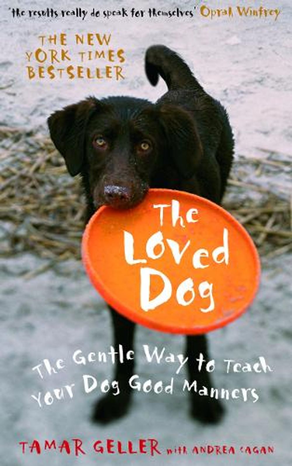 The Loved Dog by Tamar Geller - ISBN: 9780091922252