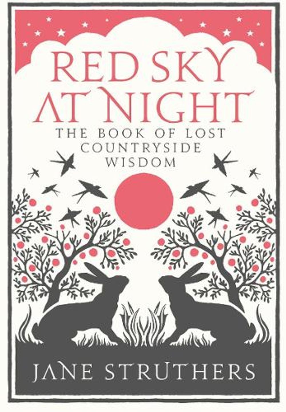 Red Sky at Night by Jane Struthers - ISBN: 9780091932442
