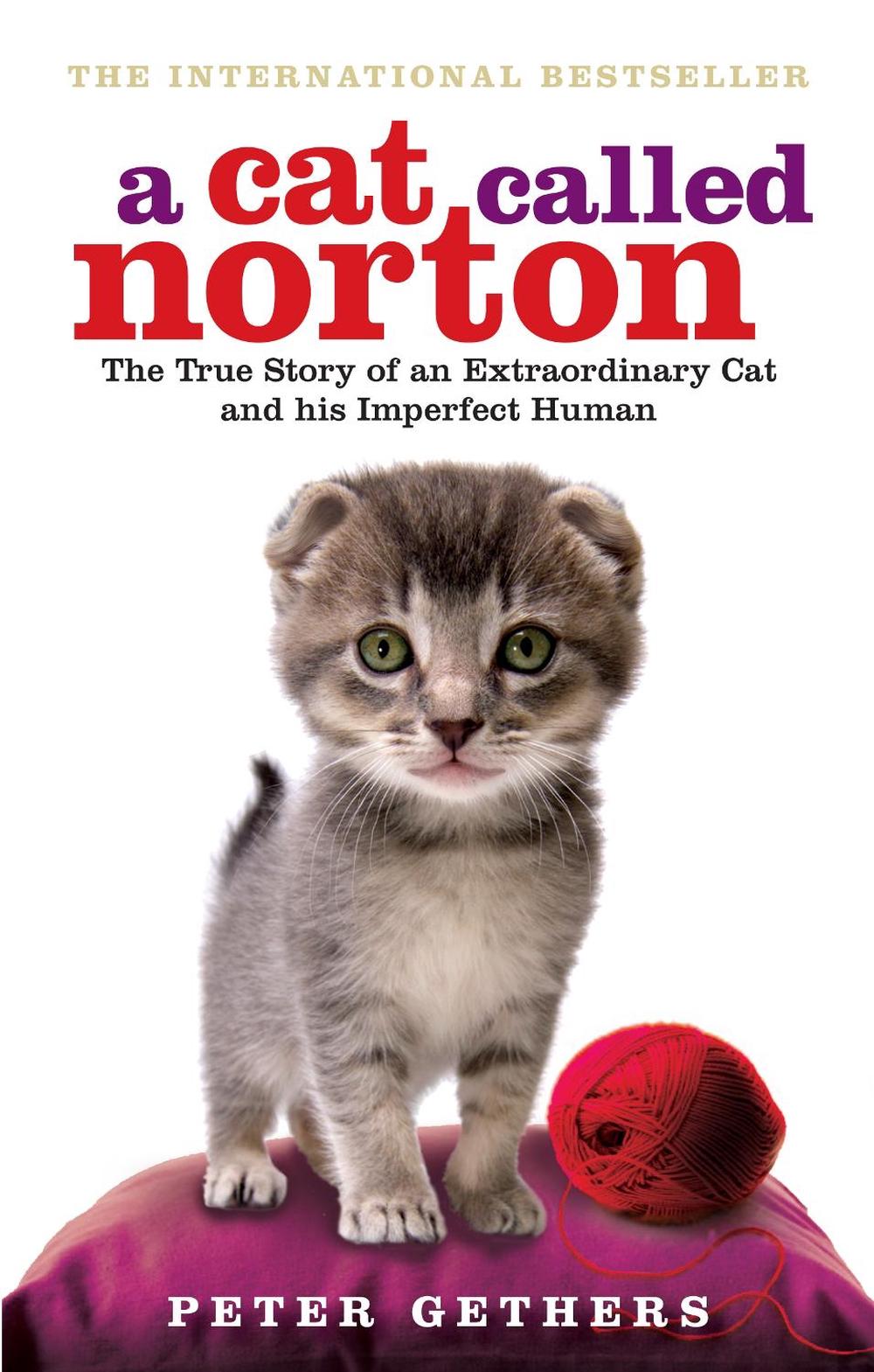 A Cat Called Norton by Peter Gethers - ISBN: 9780091933296