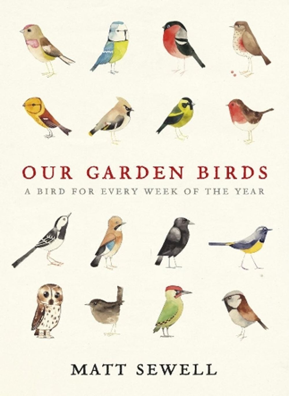 Our Garden Birds by Matt Sewell - ISBN: 9780091945008