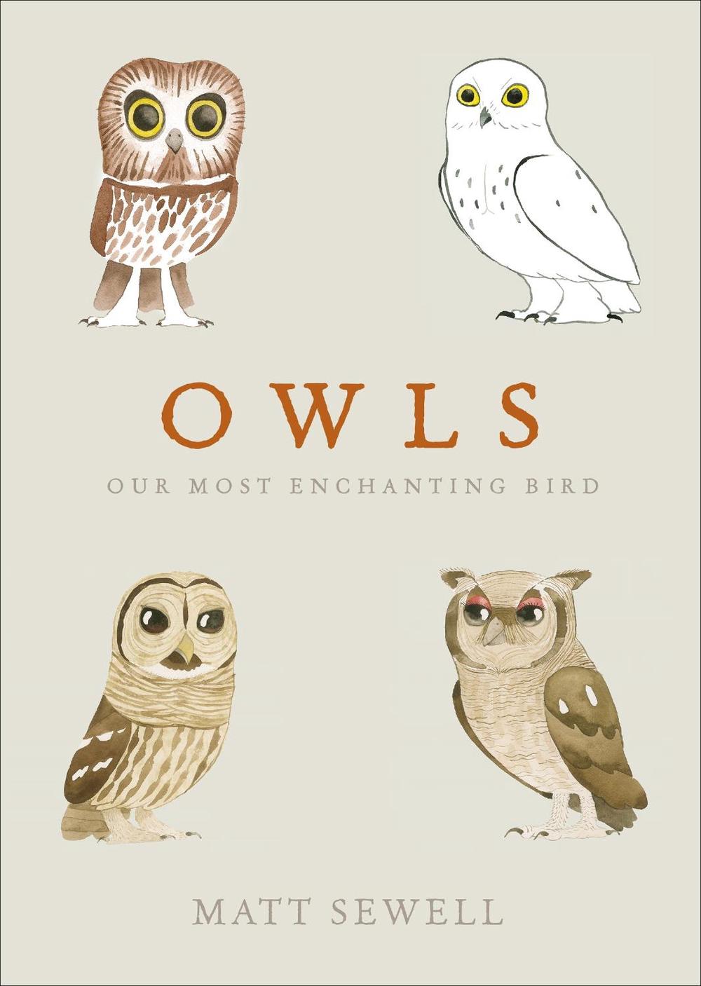Owls, 9780091959999