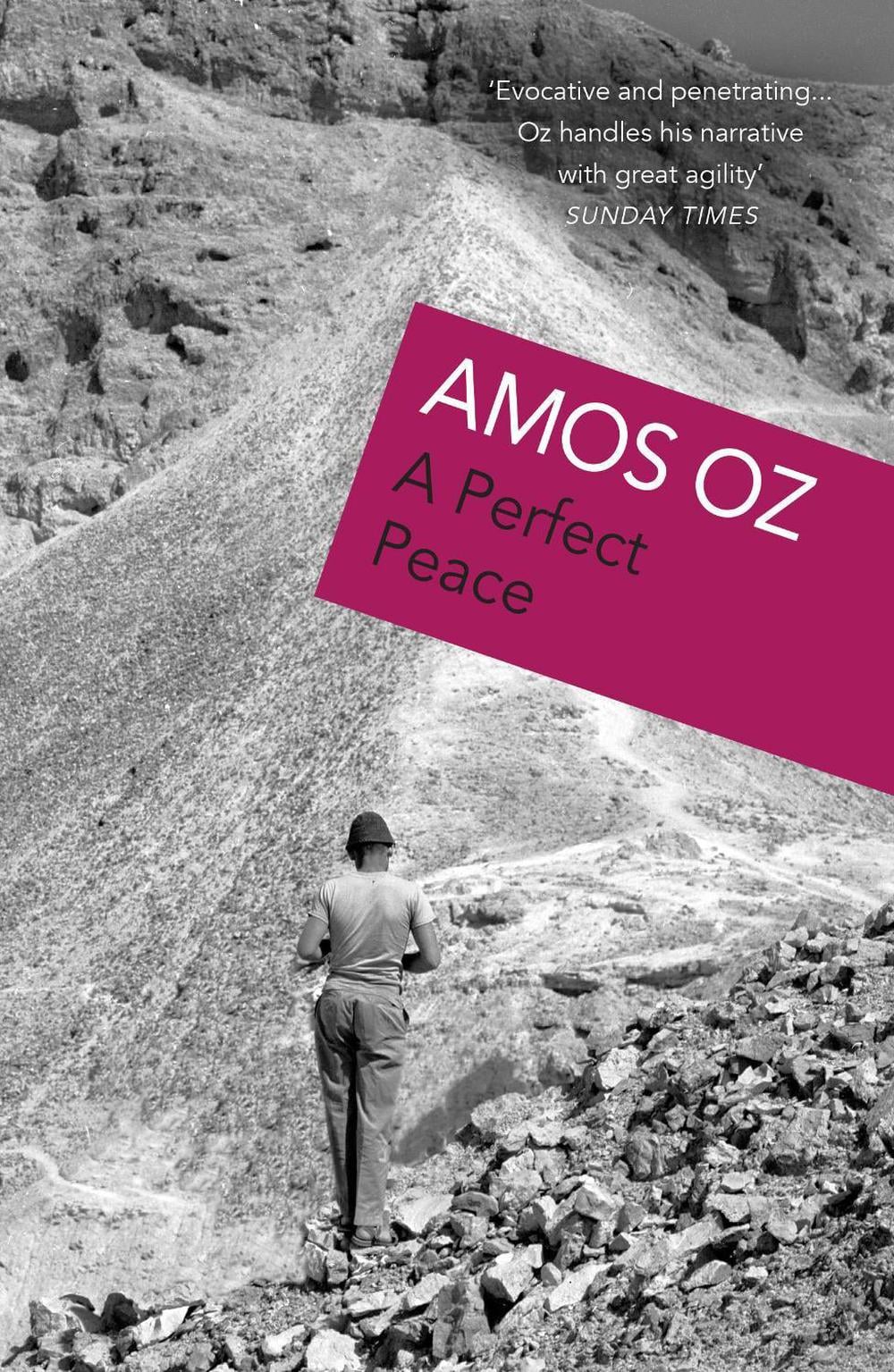 A Perfect Peace by Amos Oz - ISBN: 9780099265818