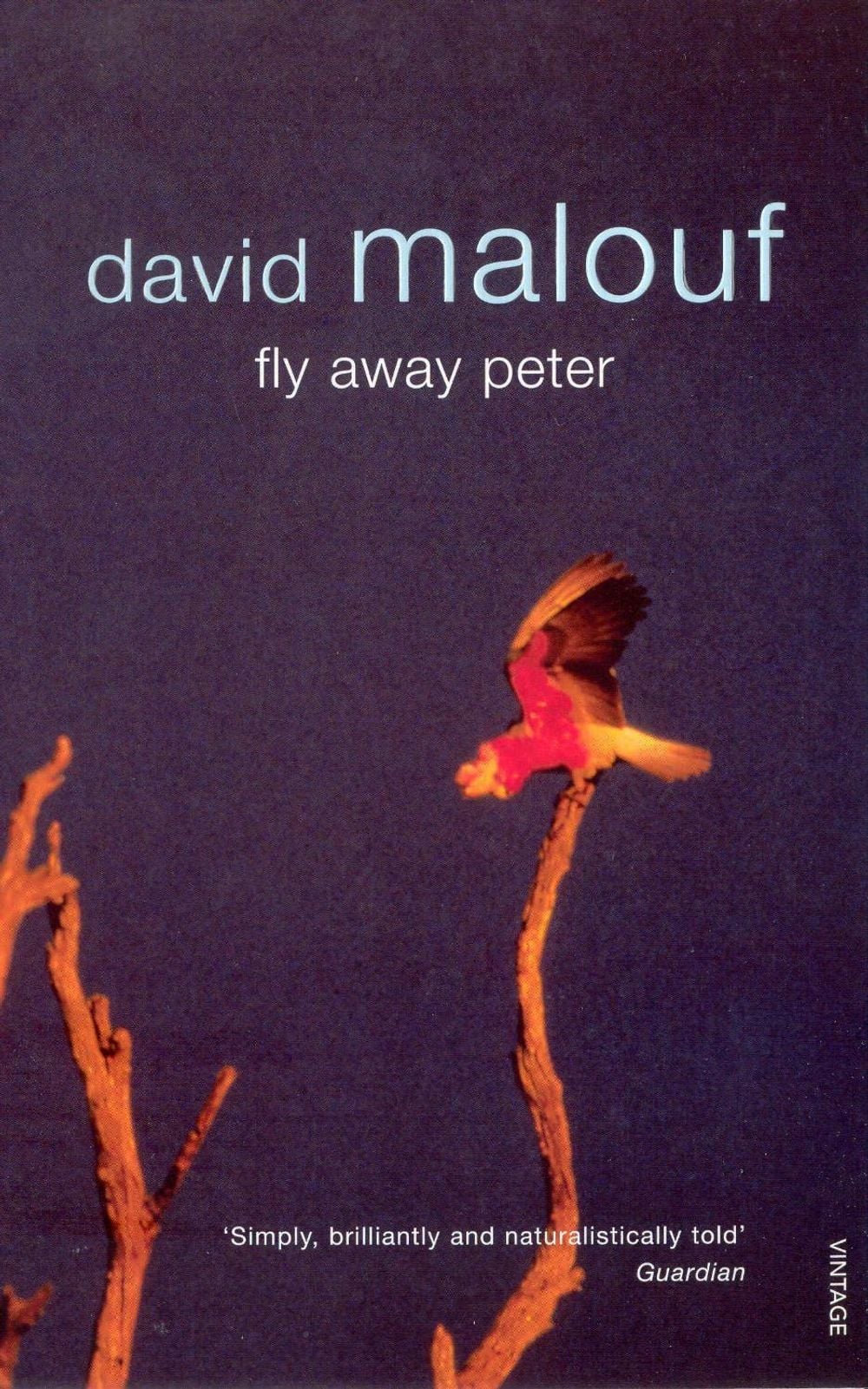 Fly Away Peter by David Malouf - ISBN: 9780099273820