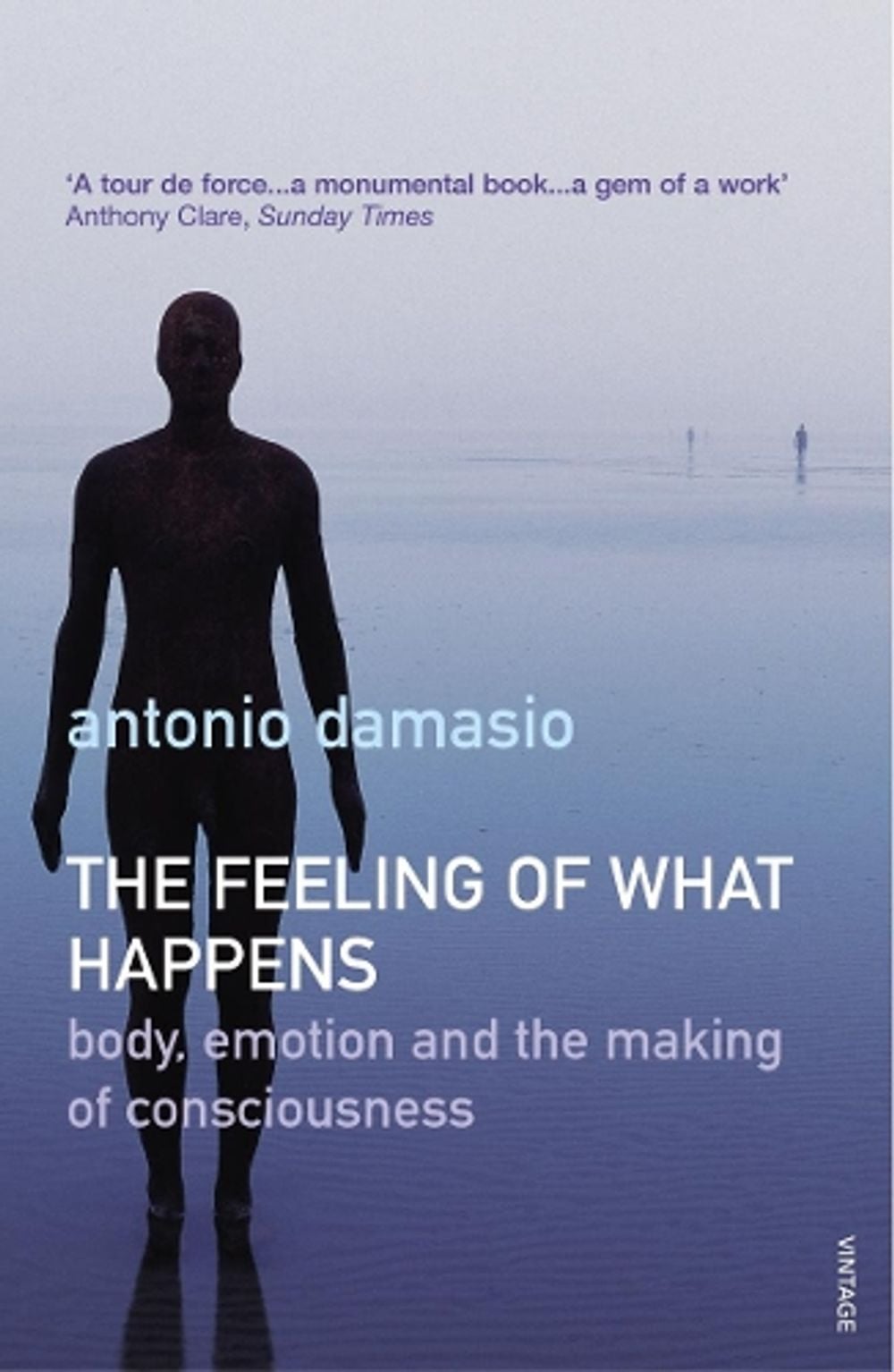 The Feeling Of What Happens by Antonio Damasio - ISBN: 9780099288763