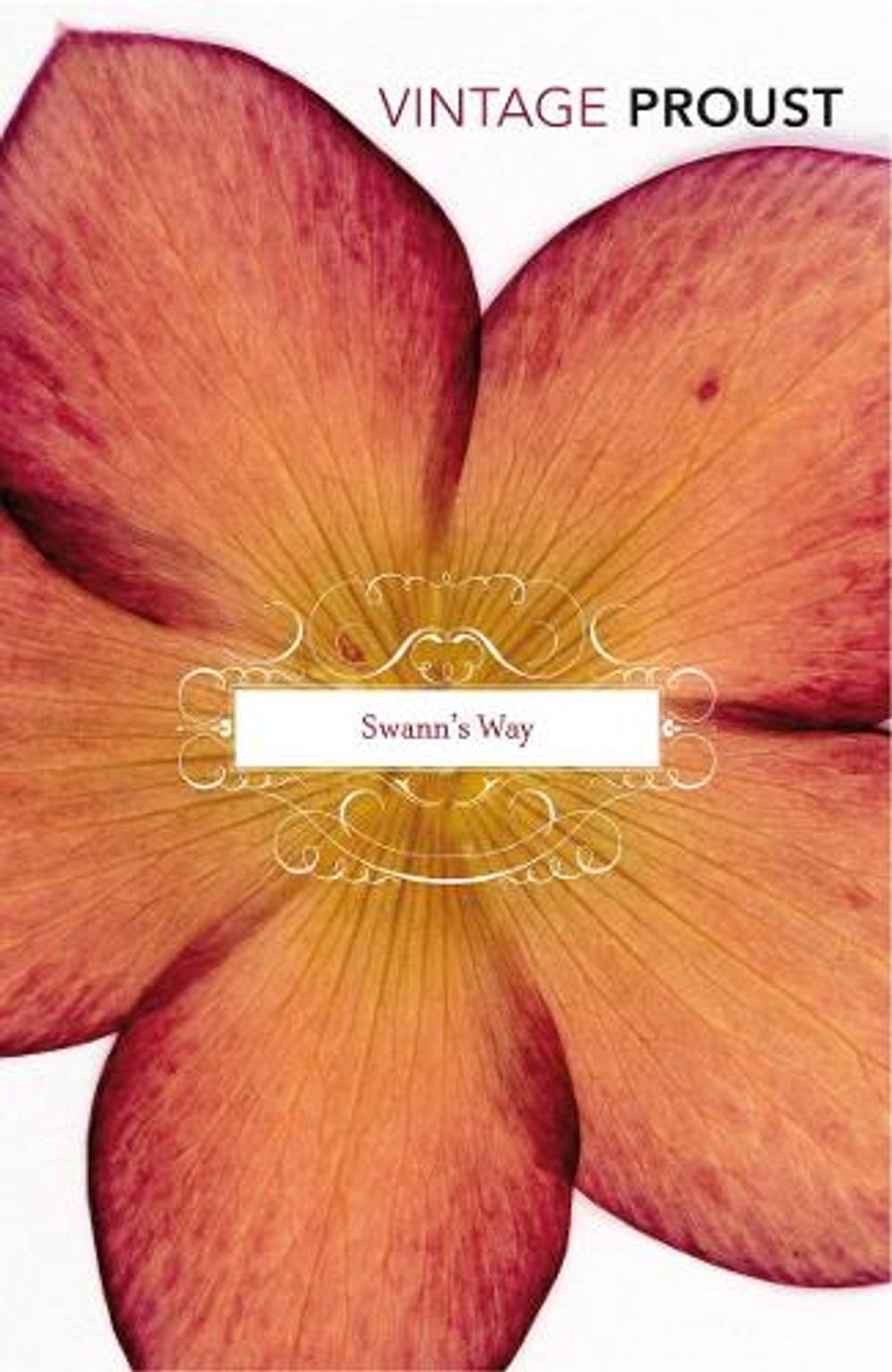 In Search Of Lost Time Vol 1 by Marcel Proust - ISBN: 9780099362210