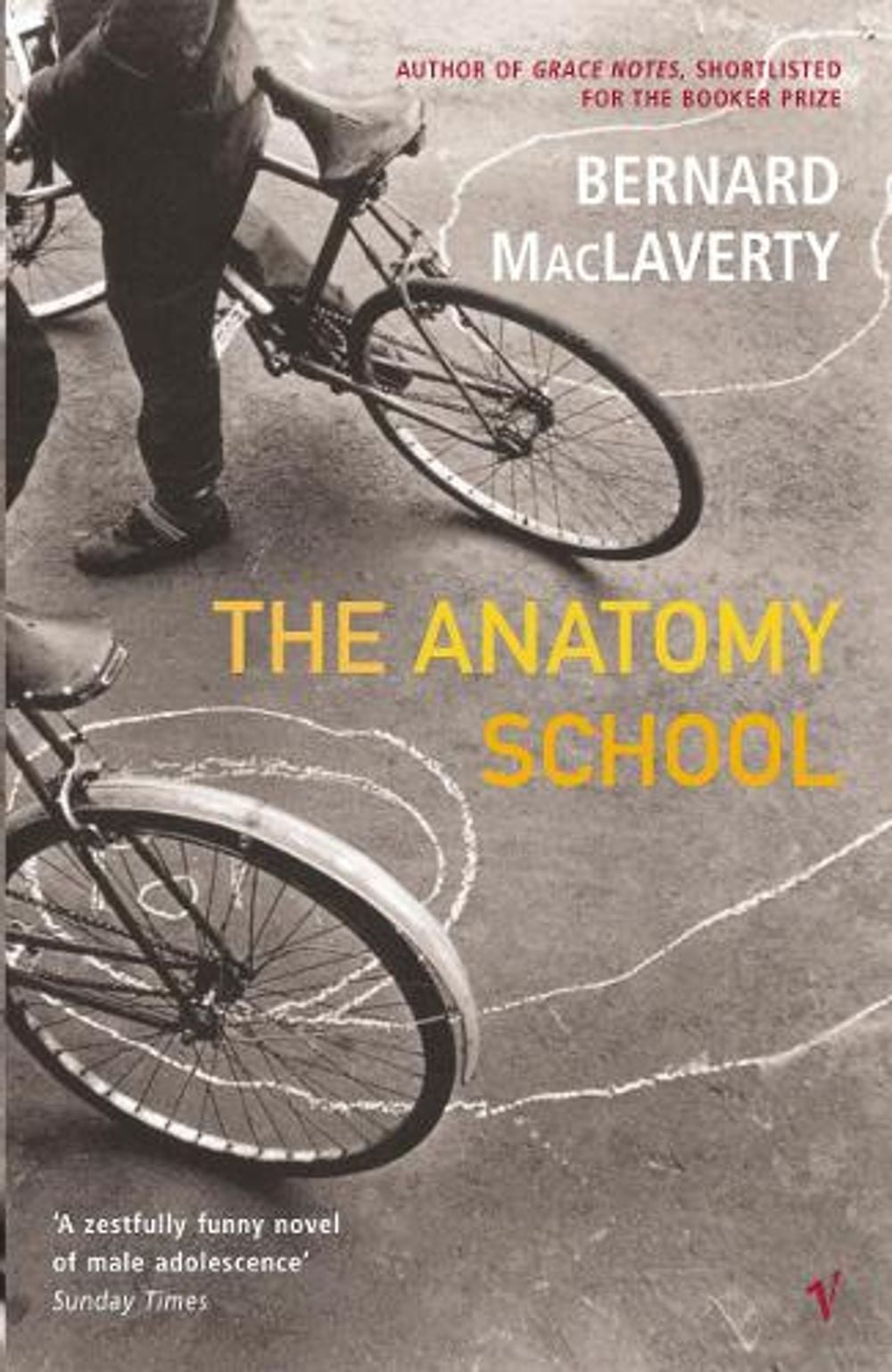 The Anatomy School by Bernard MacLaverty - ISBN: 9780099428466