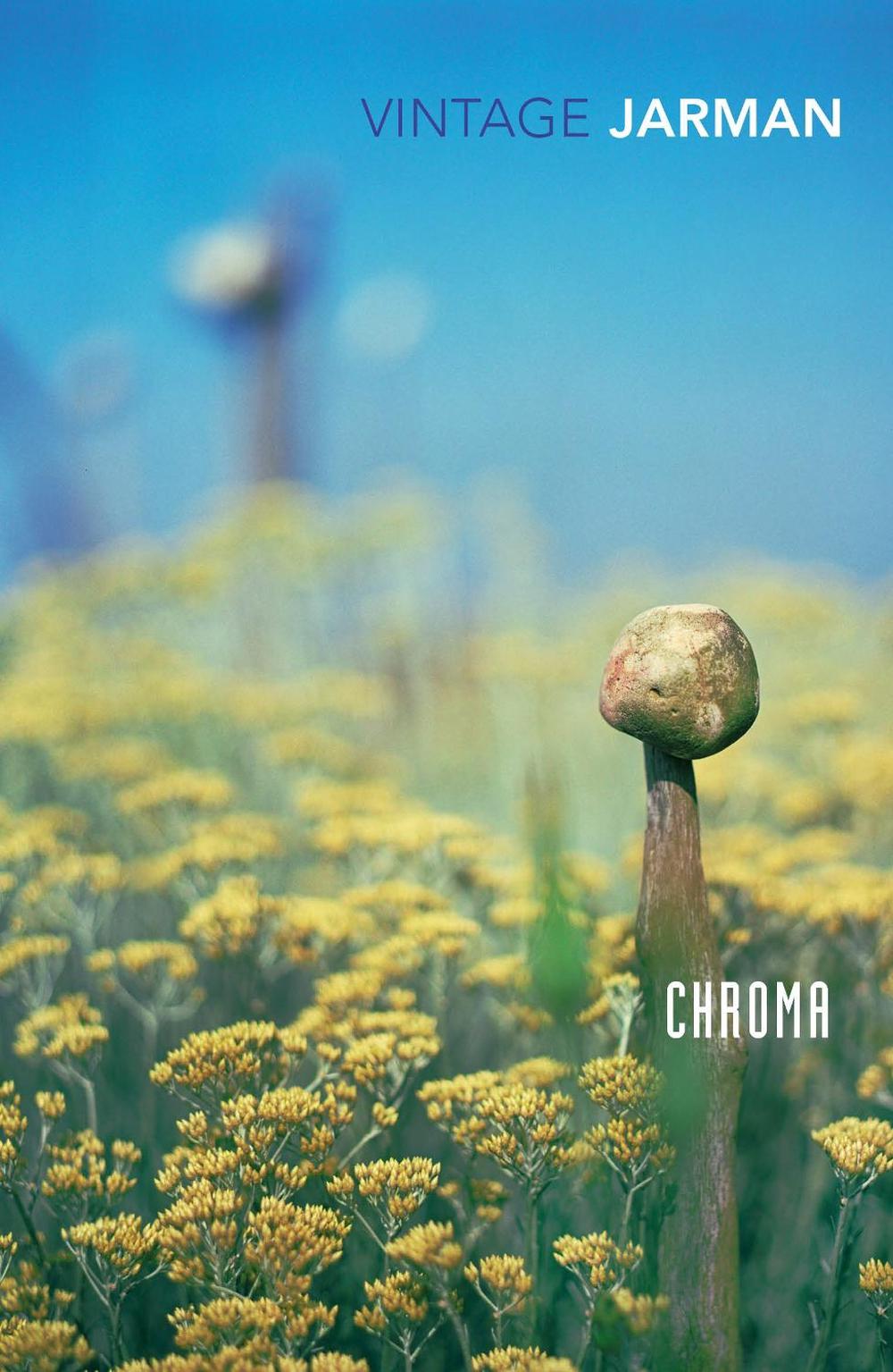 Chroma by Derek Jarman - ISBN: 9780099474913