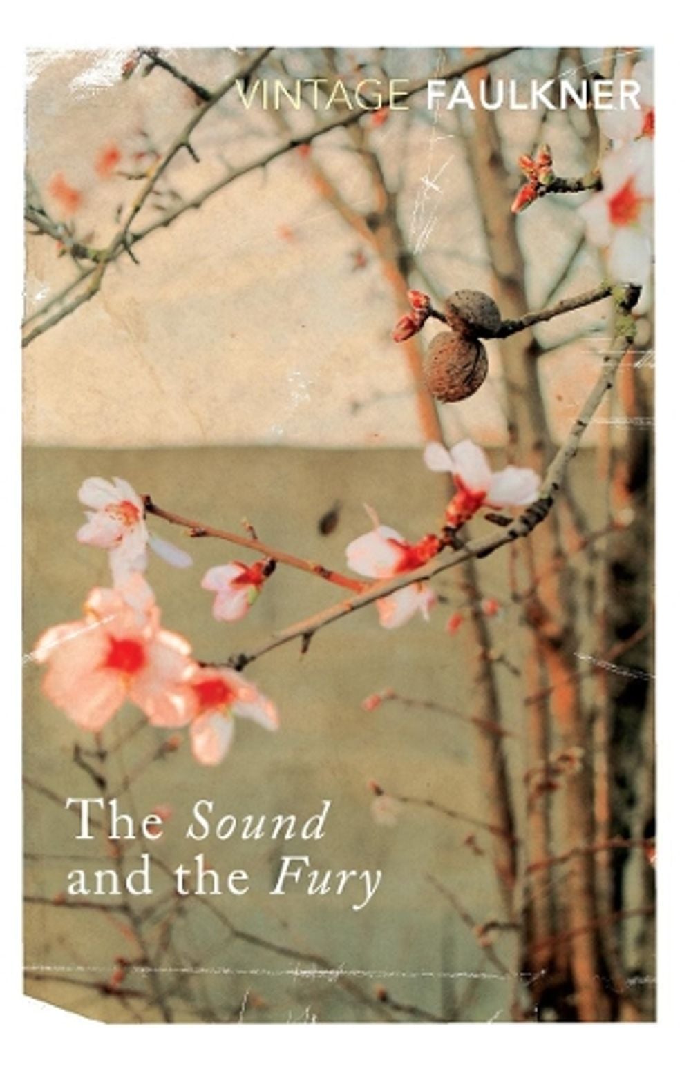 The Sound and the Fury by William Faulkner - ISBN: 9780099475019