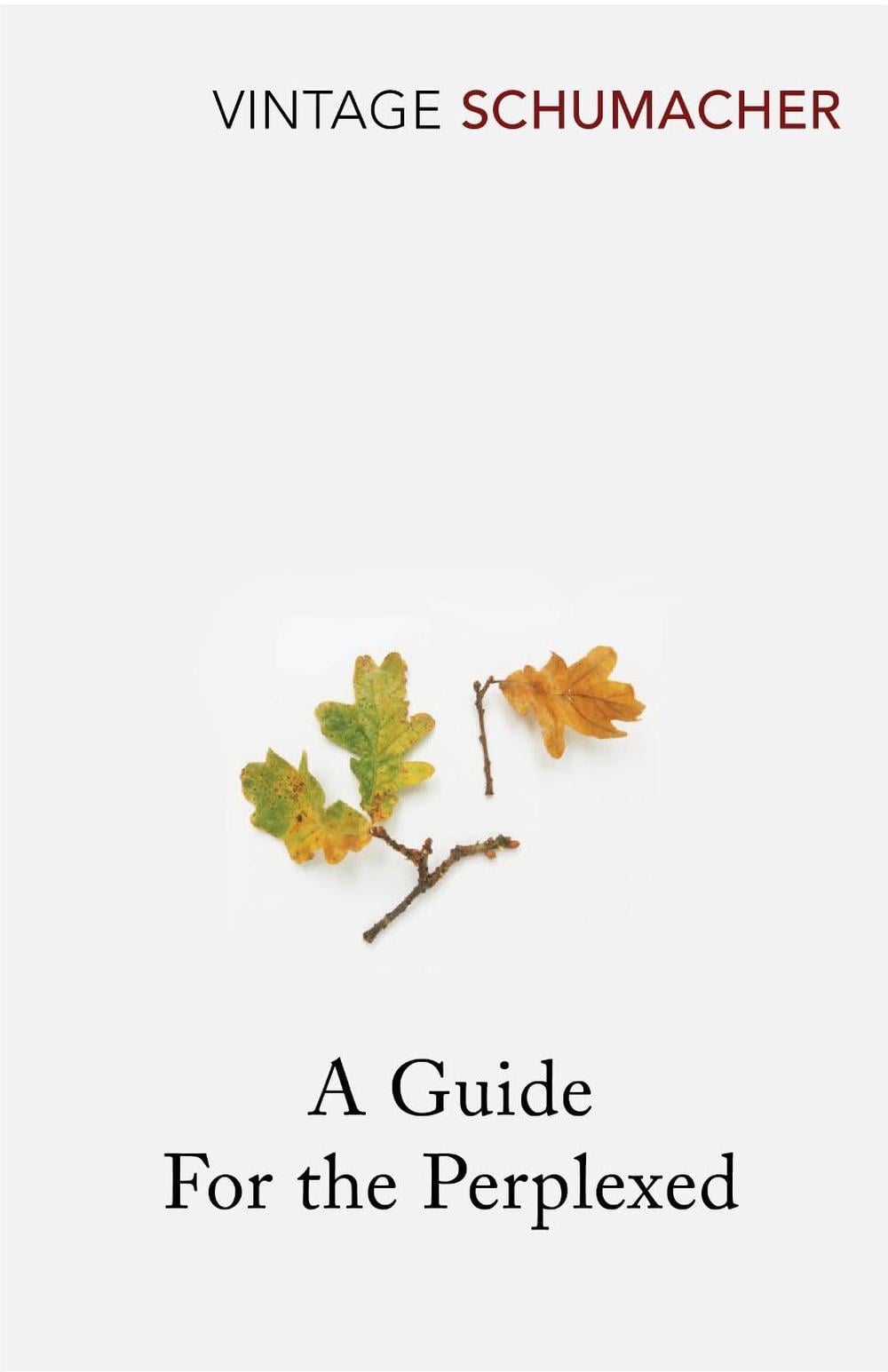 A Guide For the Perplexed by E.F. Schumacher - ISBN: 9780099480211