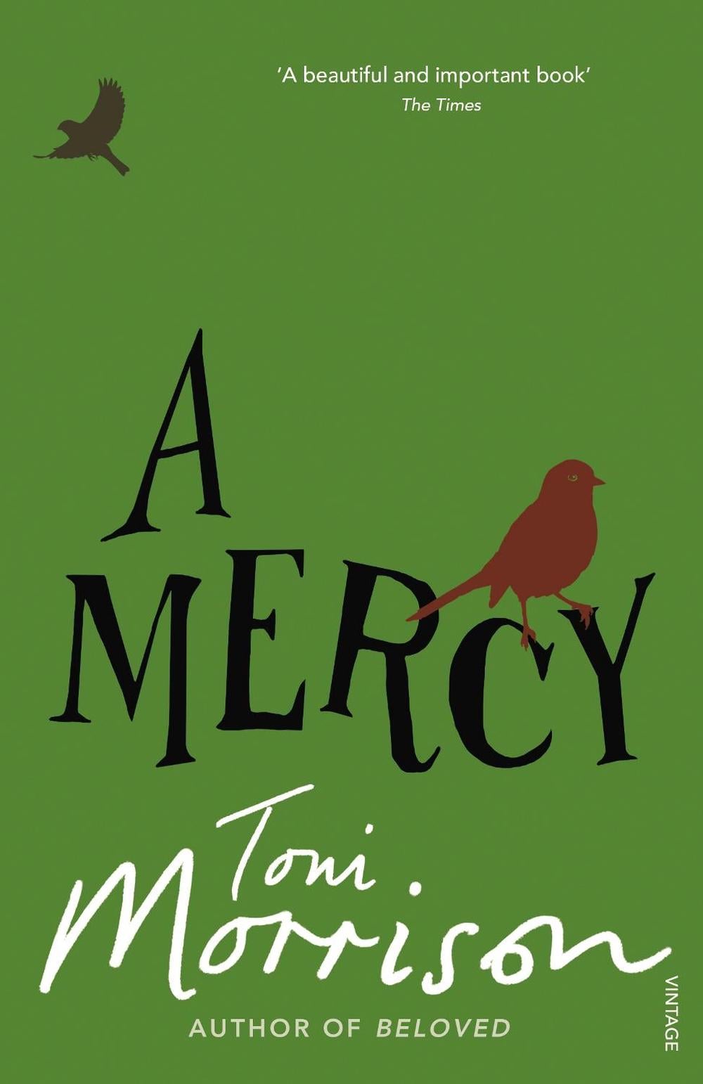 A Mercy by Toni Morrison - ISBN: 9780099502548