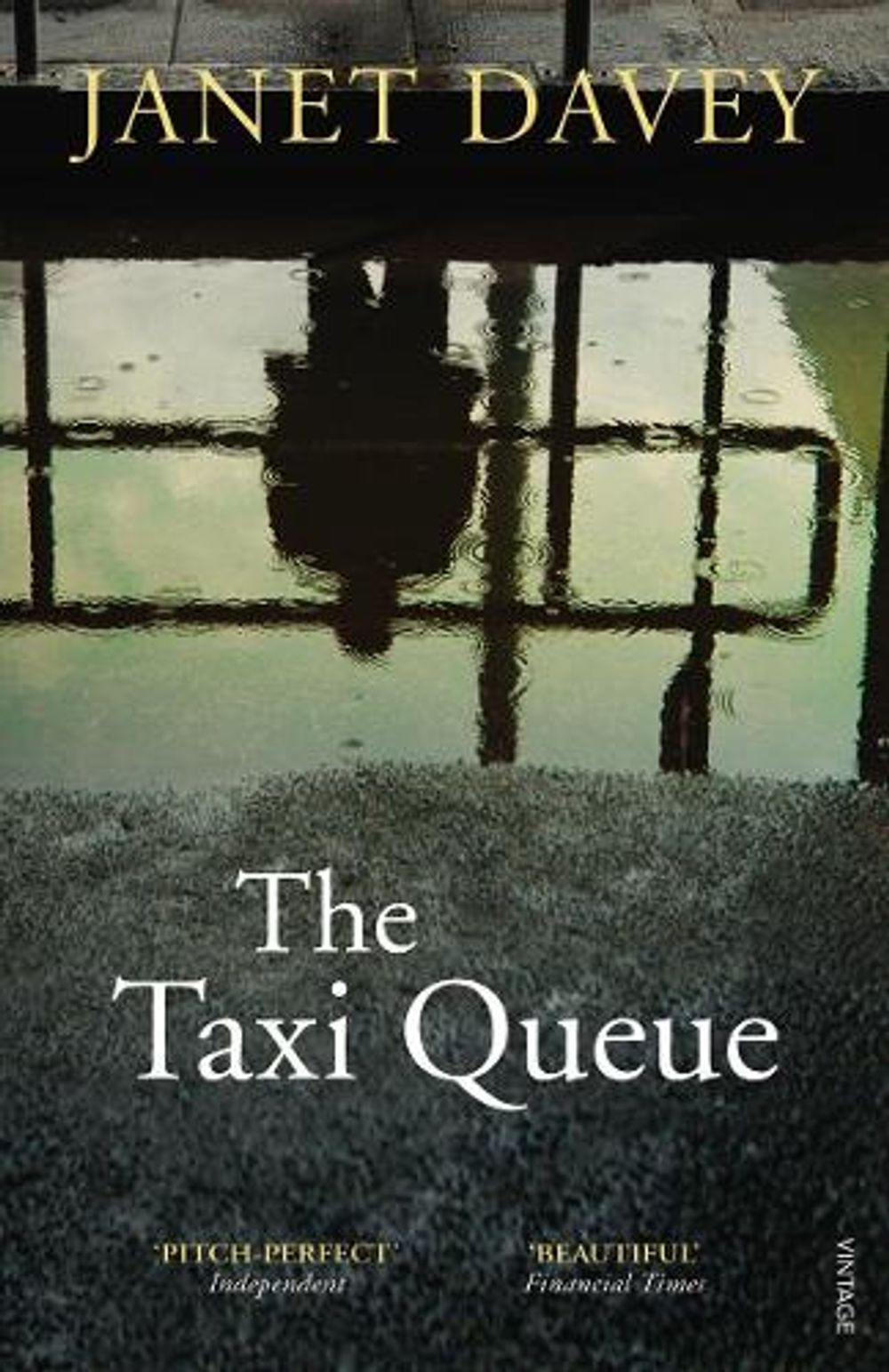 The Taxi Queue by Janet Davey - ISBN: 9780099506966