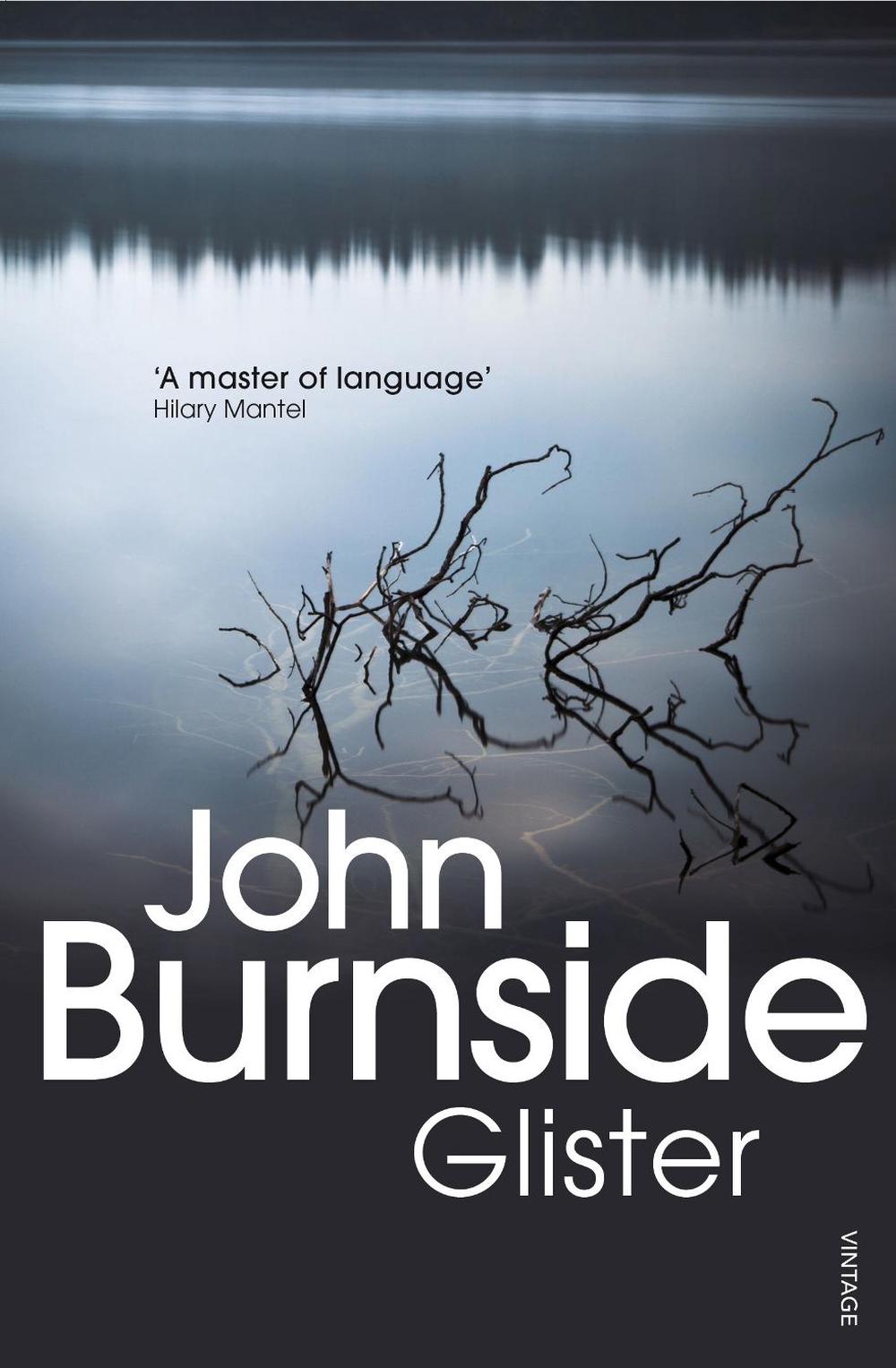 Glister by John Burnside - ISBN: 9780099507840