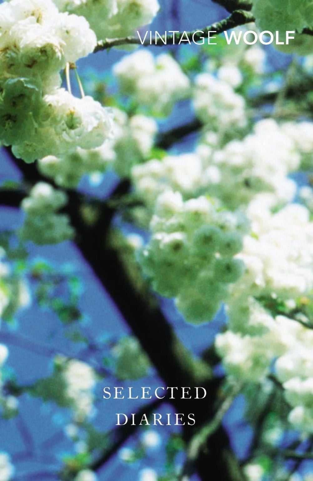 Selected Diaries by Virginia Woolf - ISBN: 9780099518259