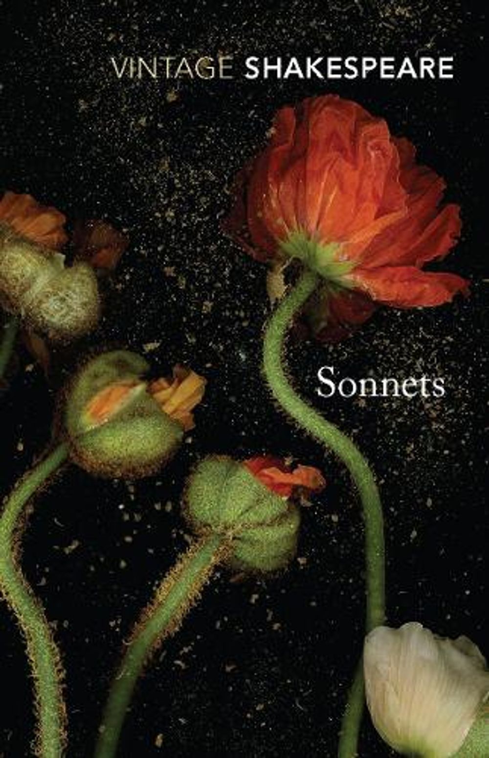 Sonnets by William Shakespeare - ISBN: 9780099518860