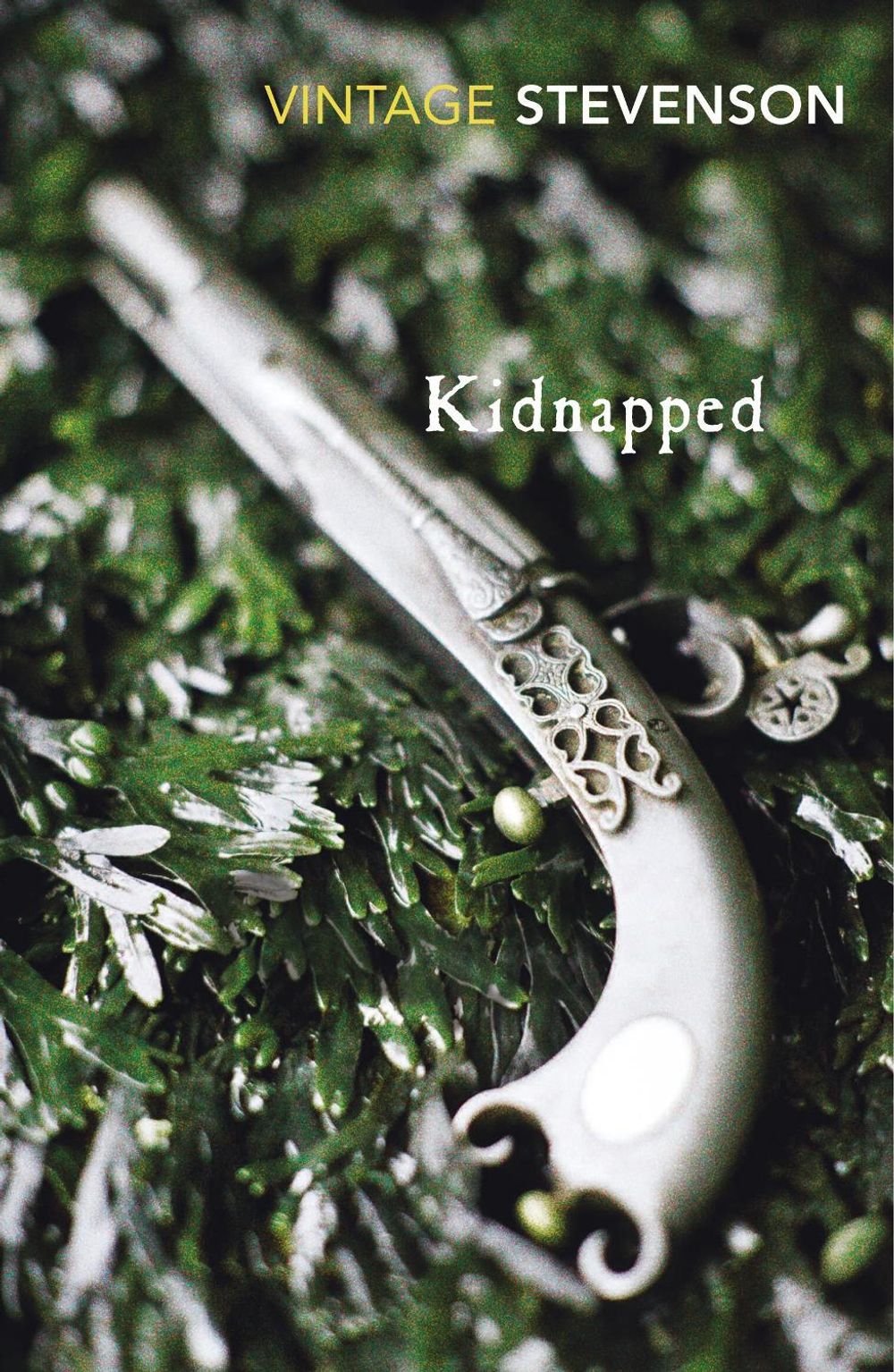 Kidnapped by R.L Stevenson - ISBN: 9780099518969