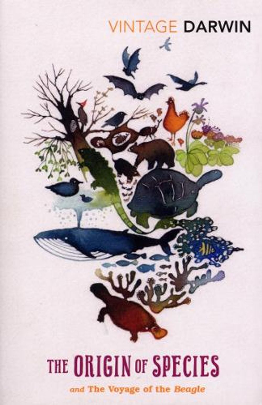 The Origin of Species and the Voyage of the Beagle by Charles Darwin - ISBN: 9780099519171