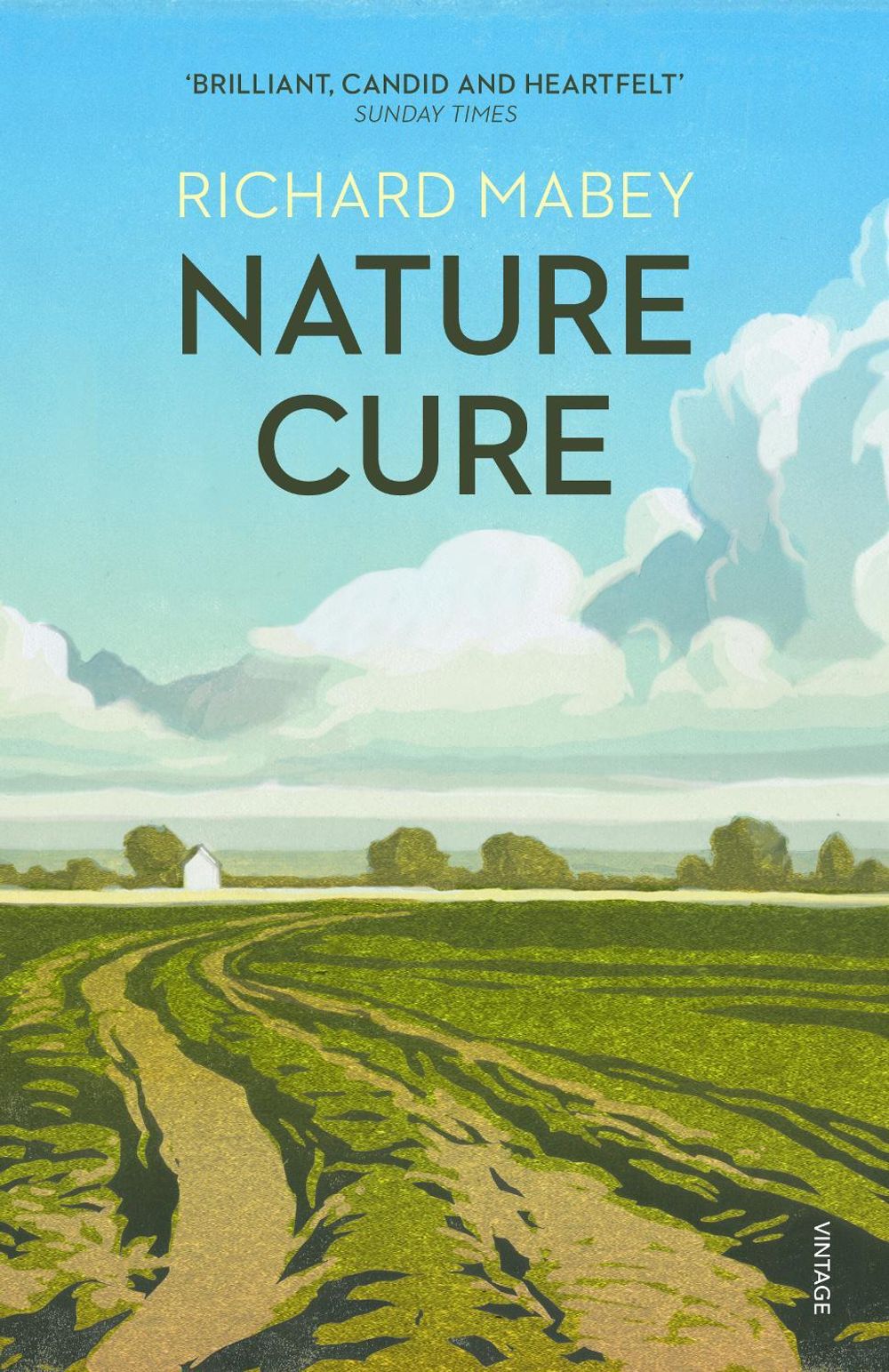 Nature Cure by Richard Mabey - ISBN: 9780099531821