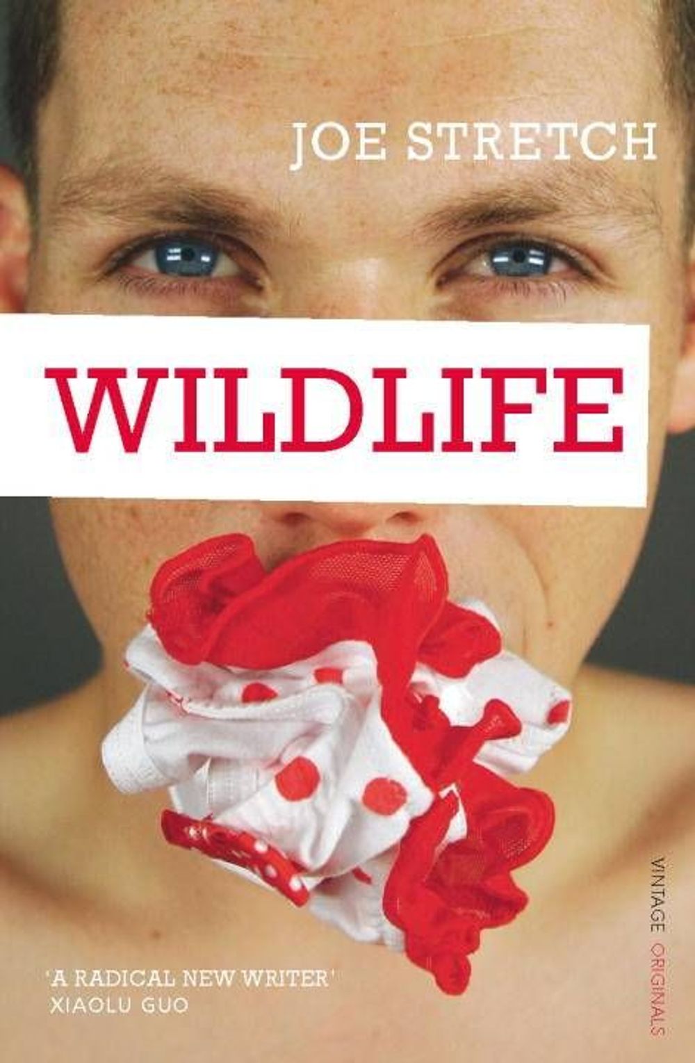Wildlife by Joe Stretch - ISBN: 9780099532071