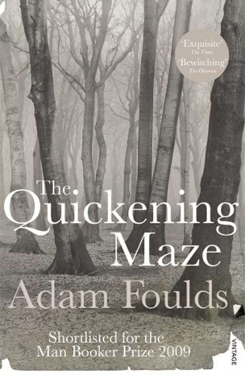 The Quickening Maze by Adam Foulds - ISBN: 9780099532446