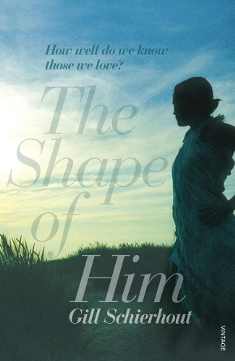 The Shape of Him by Gill Schierhout - ISBN: 9780099535775