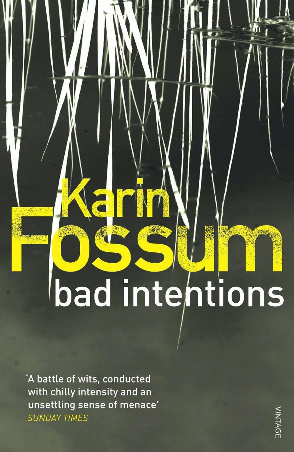 Bad Intentions by Karin Fossum - ISBN: 9780099535843