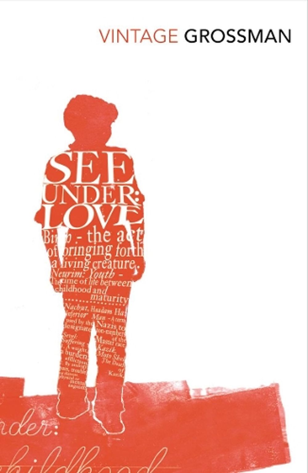 See Under Love by David Grossman - ISBN: 9780099541592