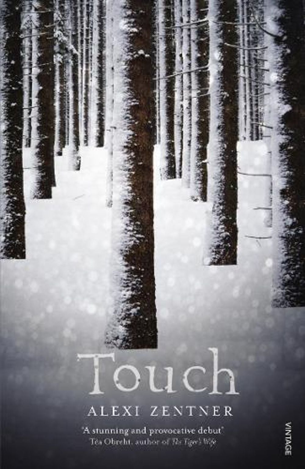 Touch by Alexi Zentner - ISBN: 9780099549260