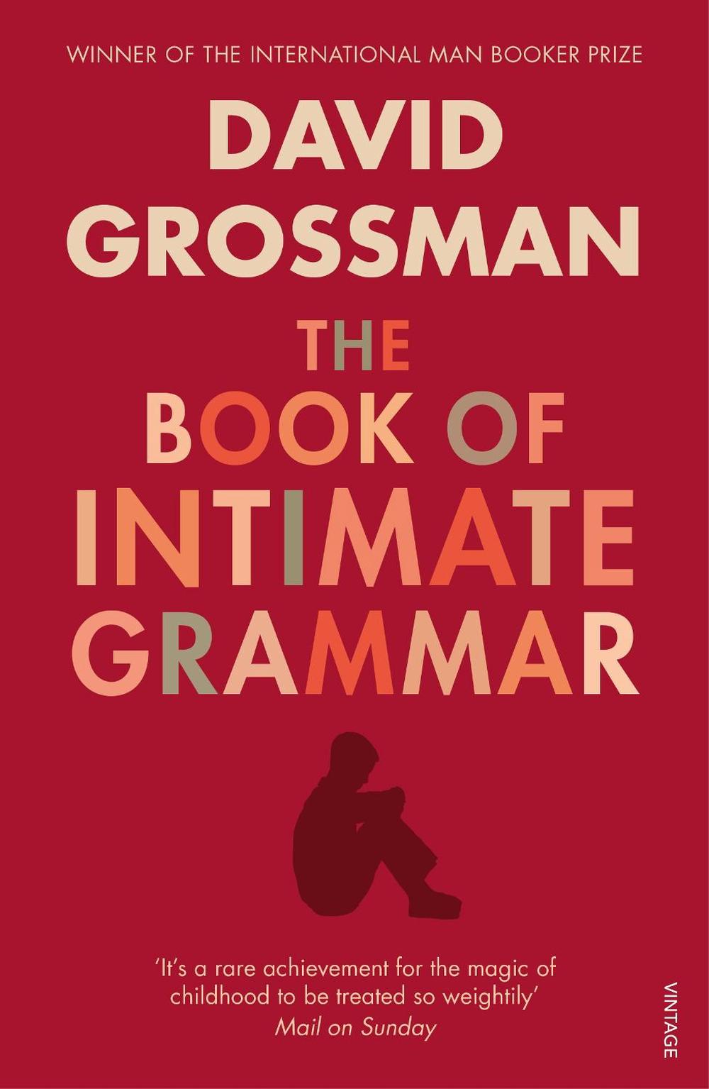 The Book Of Intimate Grammar by David Grossman - ISBN: 9780099552321