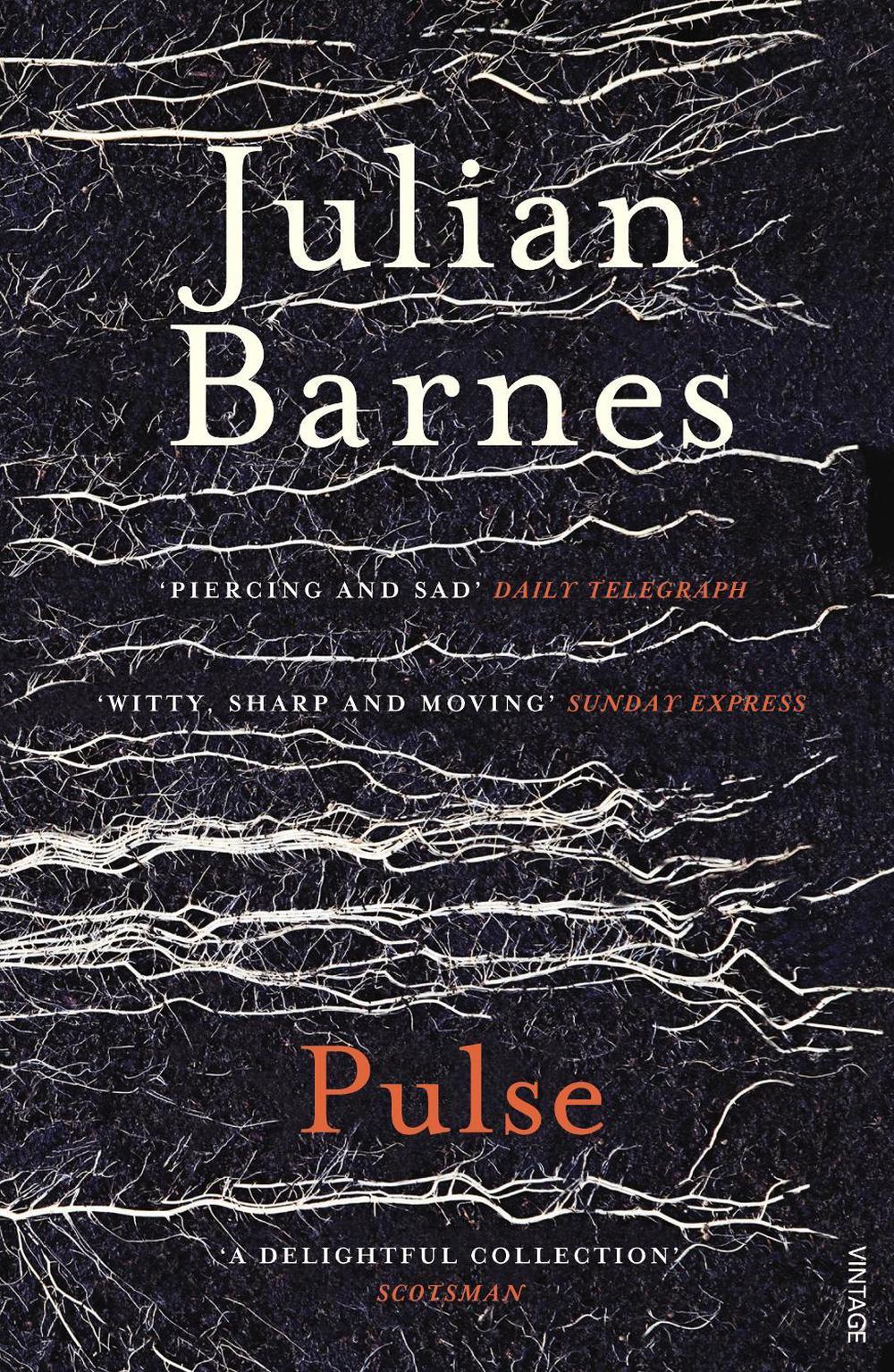 Pulse by Julian Barnes - ISBN: 9780099552475