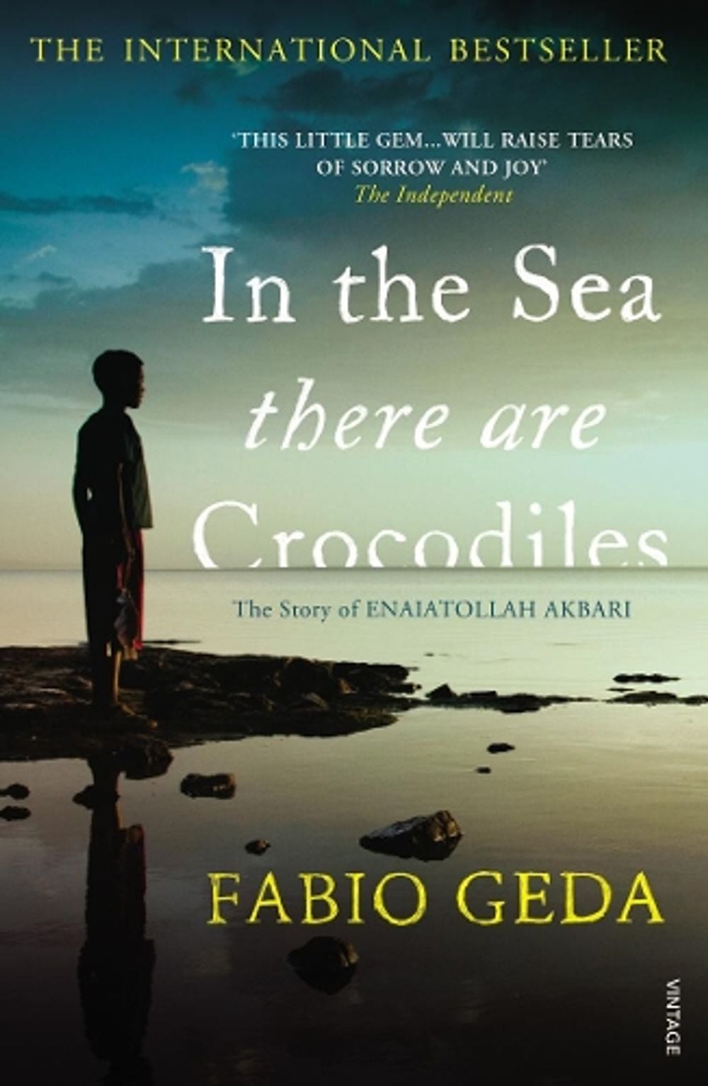 In the Sea There Are Crocodiles by Fabio Geda - ISBN: 9780099555452