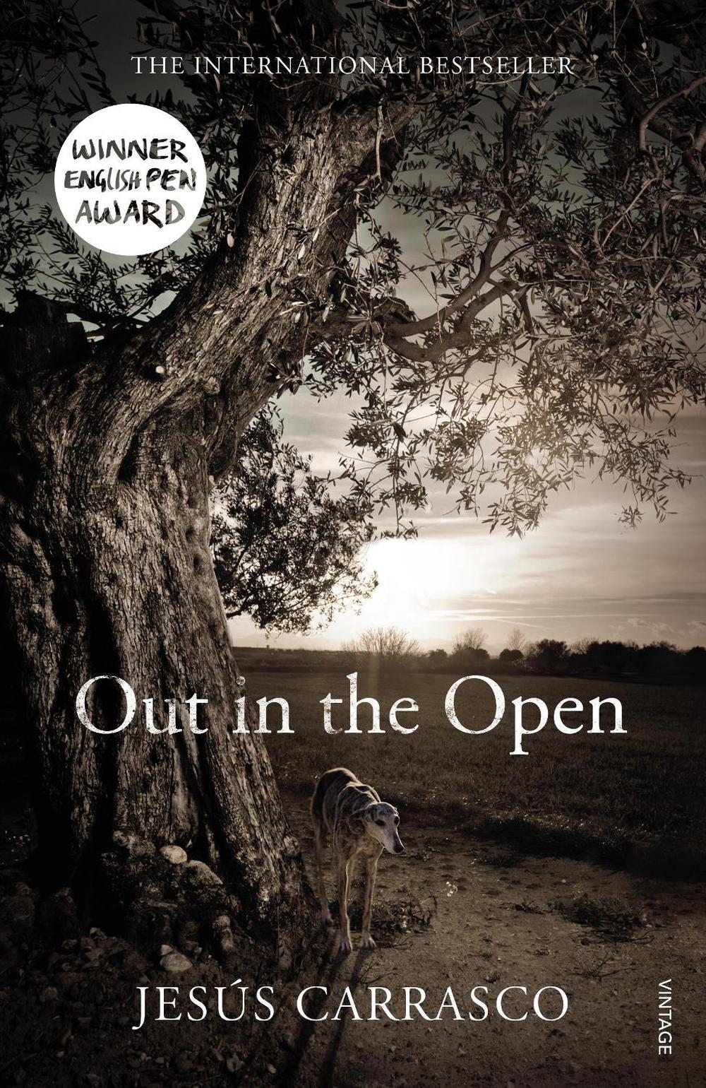 Out in the Open by Margaret Jull Costa - ISBN: 9780099582182