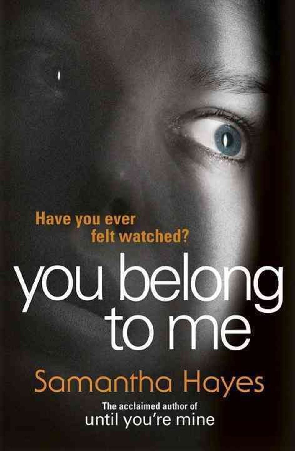 You Belong To Me by Samantha Hayes - ISBN: 9780099598855