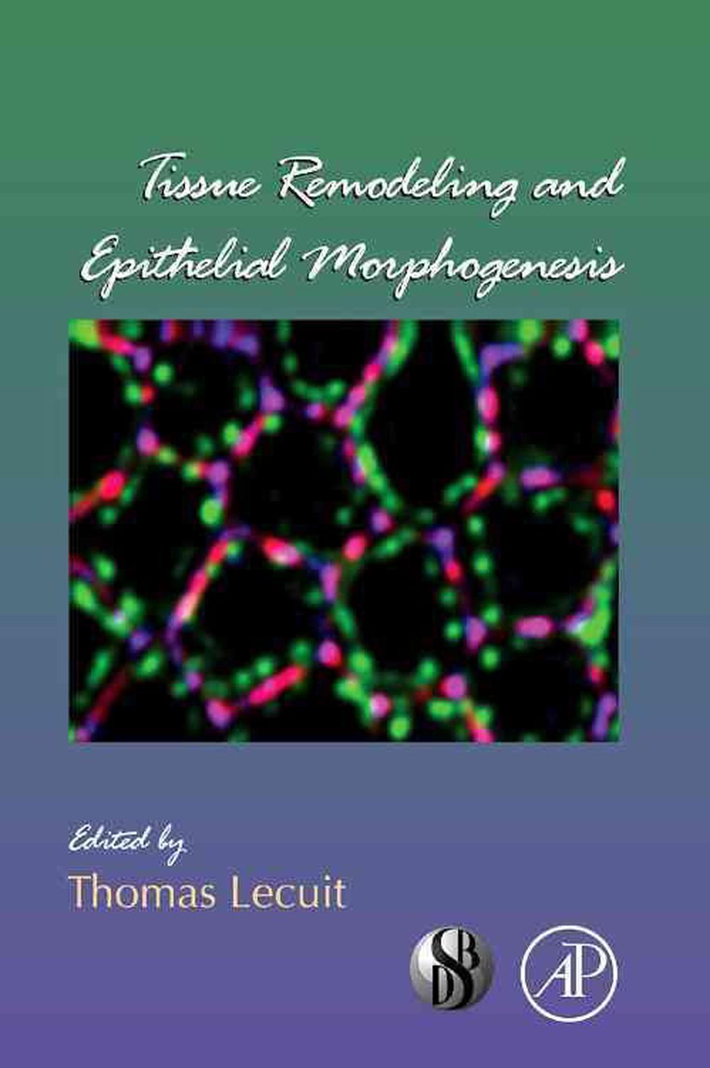 Tissue Remodeling and Epithelial Morphogenesis, 89th Edition, 9780123749024