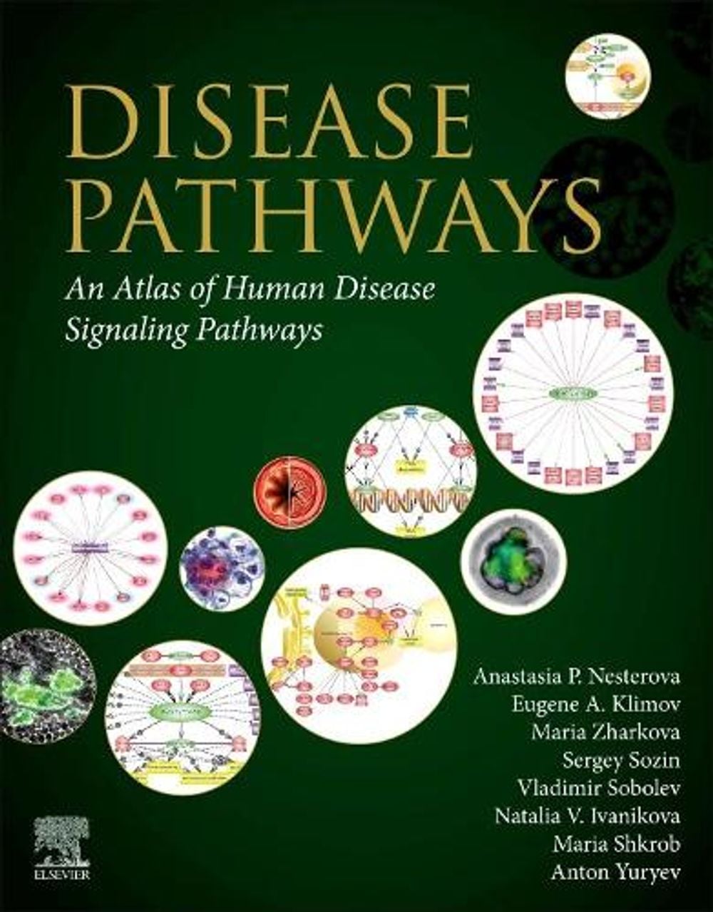 Disease Pathways by Vladimir Sobolev - ISBN: 9780128170861