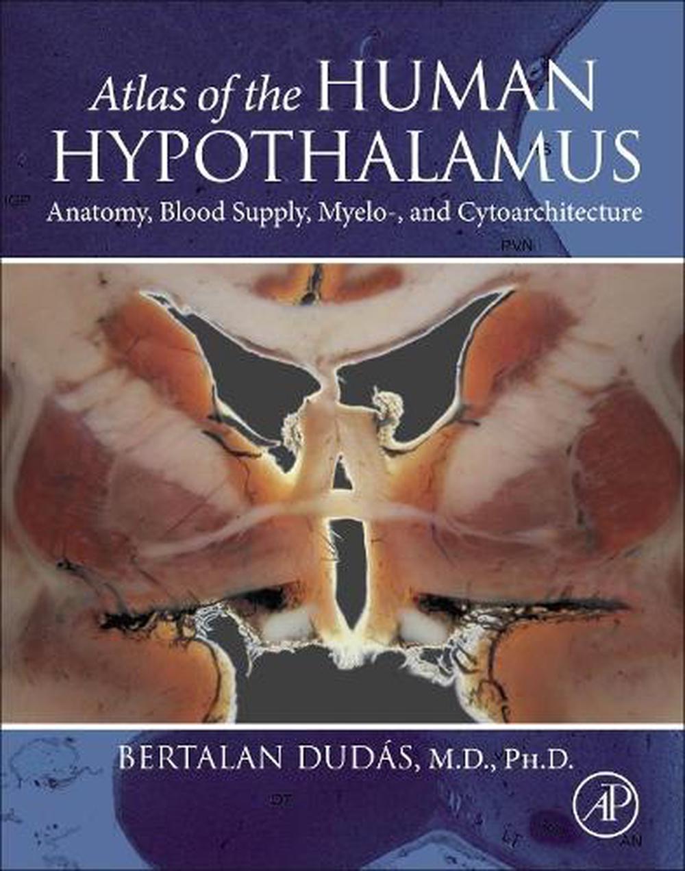 Atlas of the Human Hypothalamus, 9780128220511