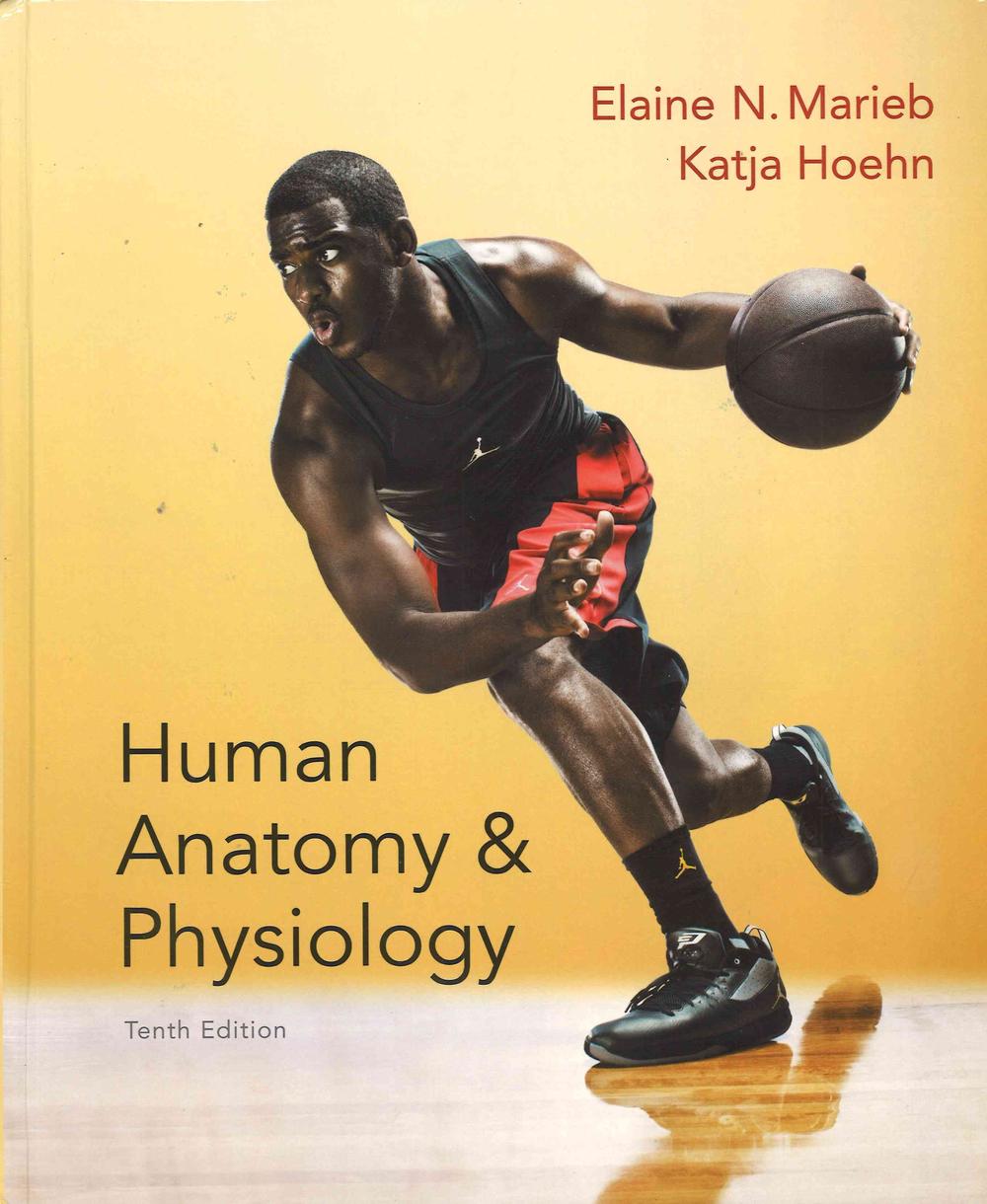 Human Anatomy & Physiology, Masteringa&p with Pearson Etext & Valuepack