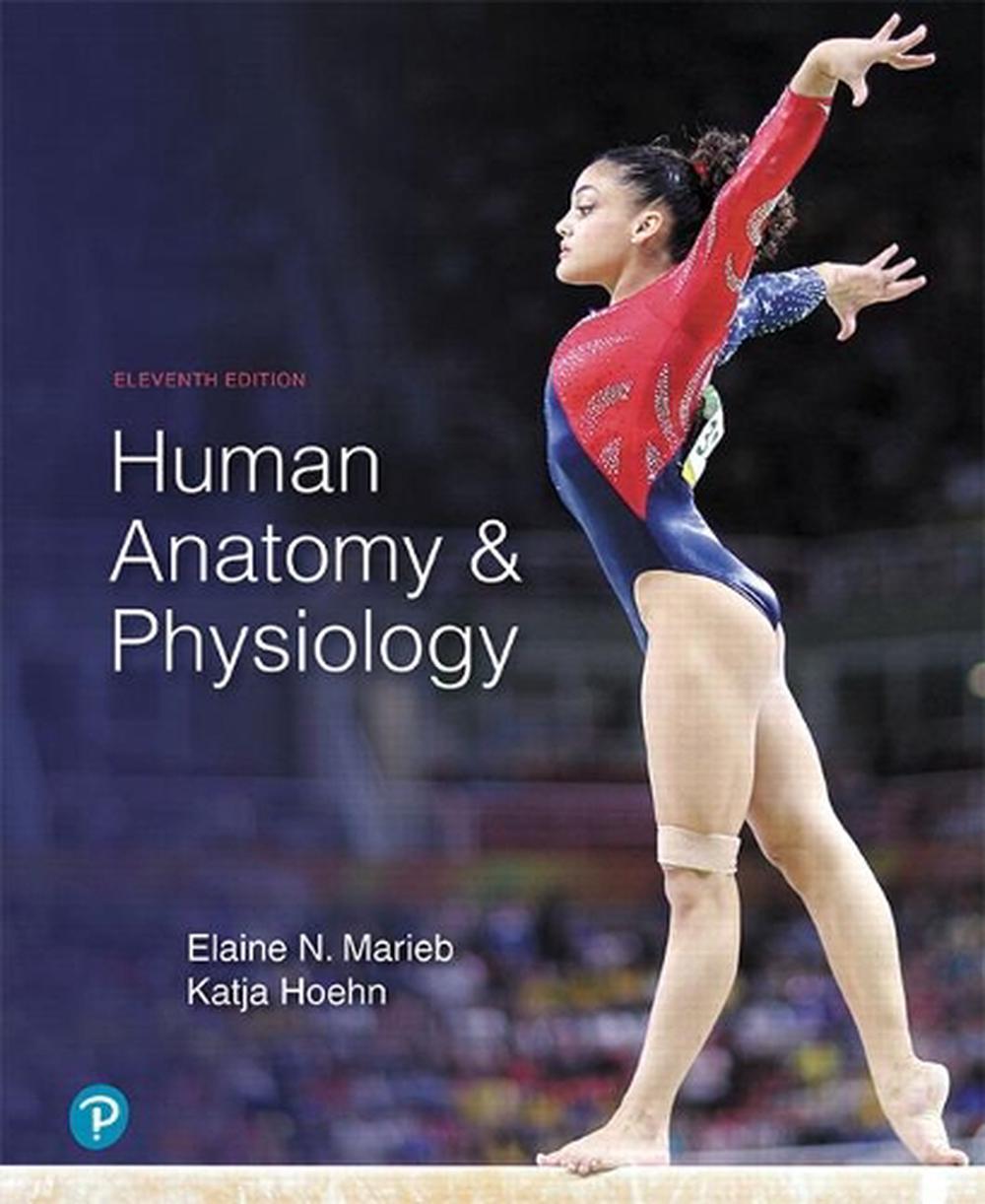 human-anatomy-physiology-by-elaine-n-marieb-hardcover