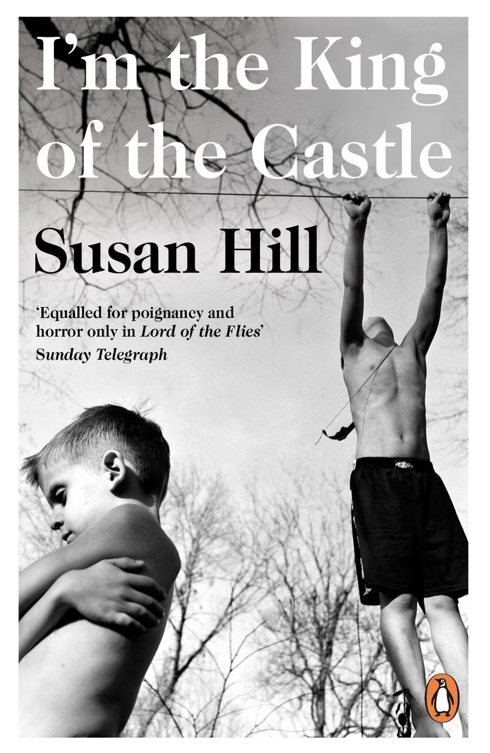 I'm the King of the Castle by Susan Hill - ISBN: 9780140034912