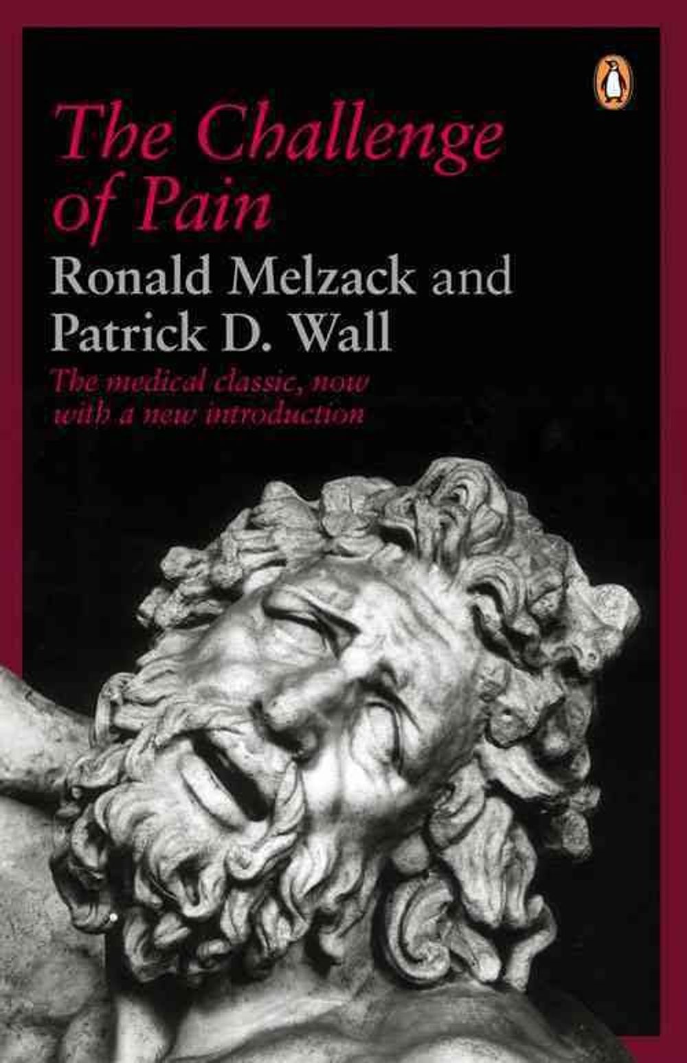 The Challenge of Pain by Ronald Melzack - ISBN: 9780140256703