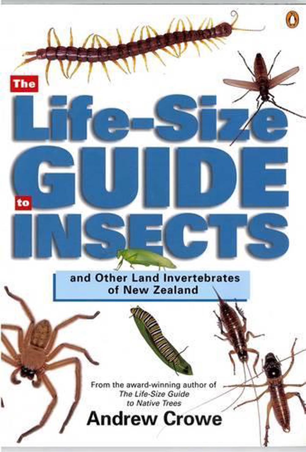 The Life Size Guide To Insects And Other Land Invertebrates Of New Zealand By Andrew Crowe 8465