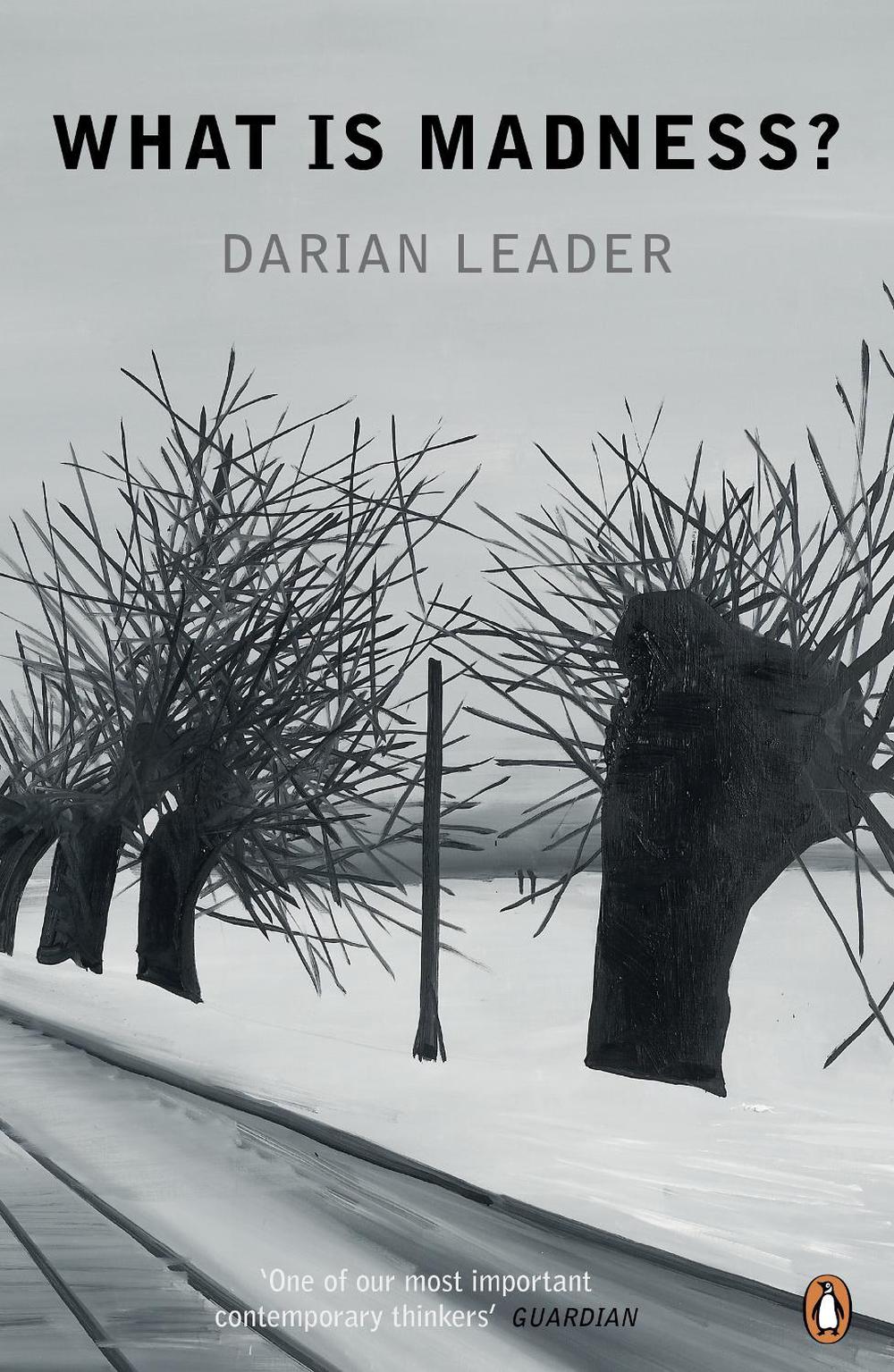 What is Madness? by Darian Leader - ISBN: 9780141047355